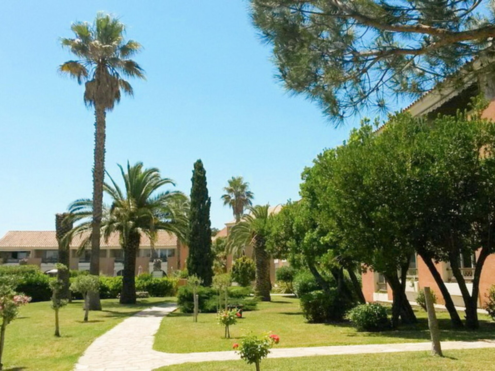 Sognu di Mare: Ruim appartement op 300 meter van het strand in Linguizzetta - foto 16