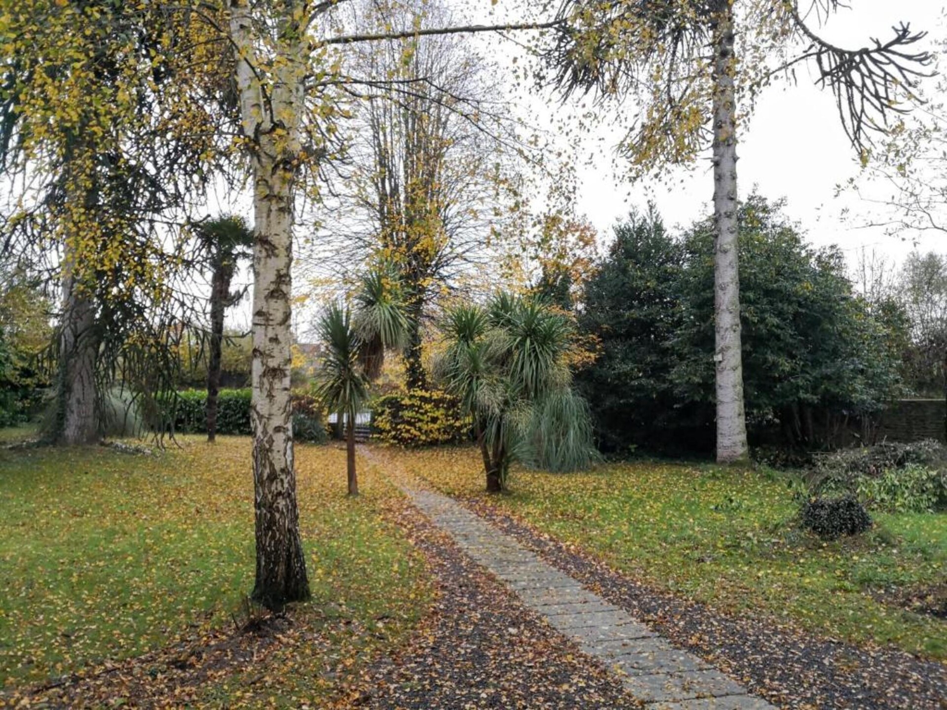 Landhuis Riviera: 10-persoons bosvilla in Montgothier met grote tuin - foto 35
