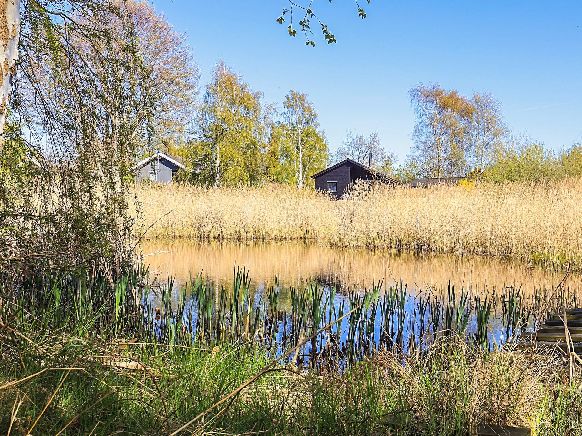 Op 1,0 km van zee: sfeervol vakantiehuis in Græsted - foto 26