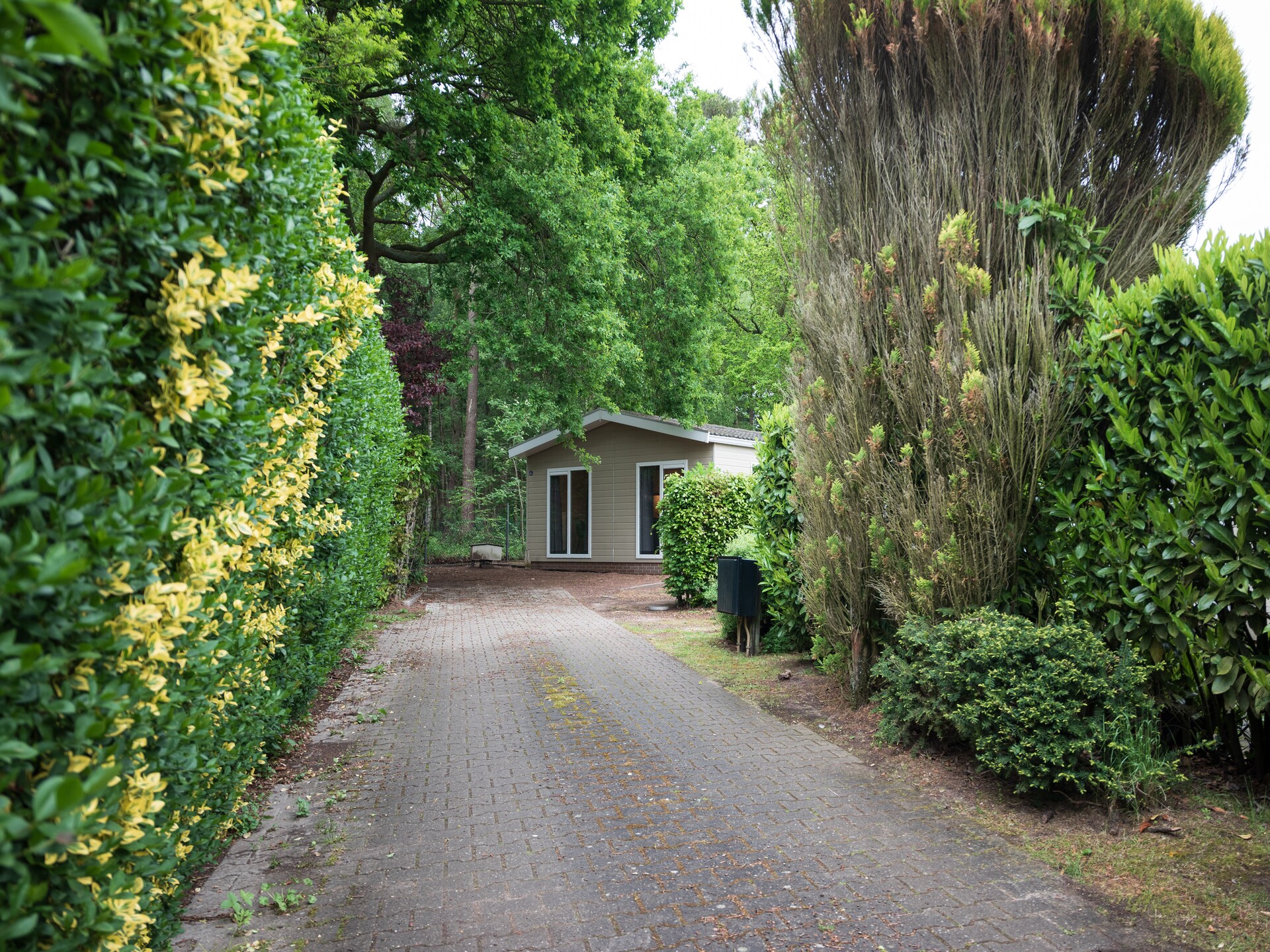 Vrijstaand vakantiehuis aan de golfbaan in bosrijk Stegeren - foto 7
