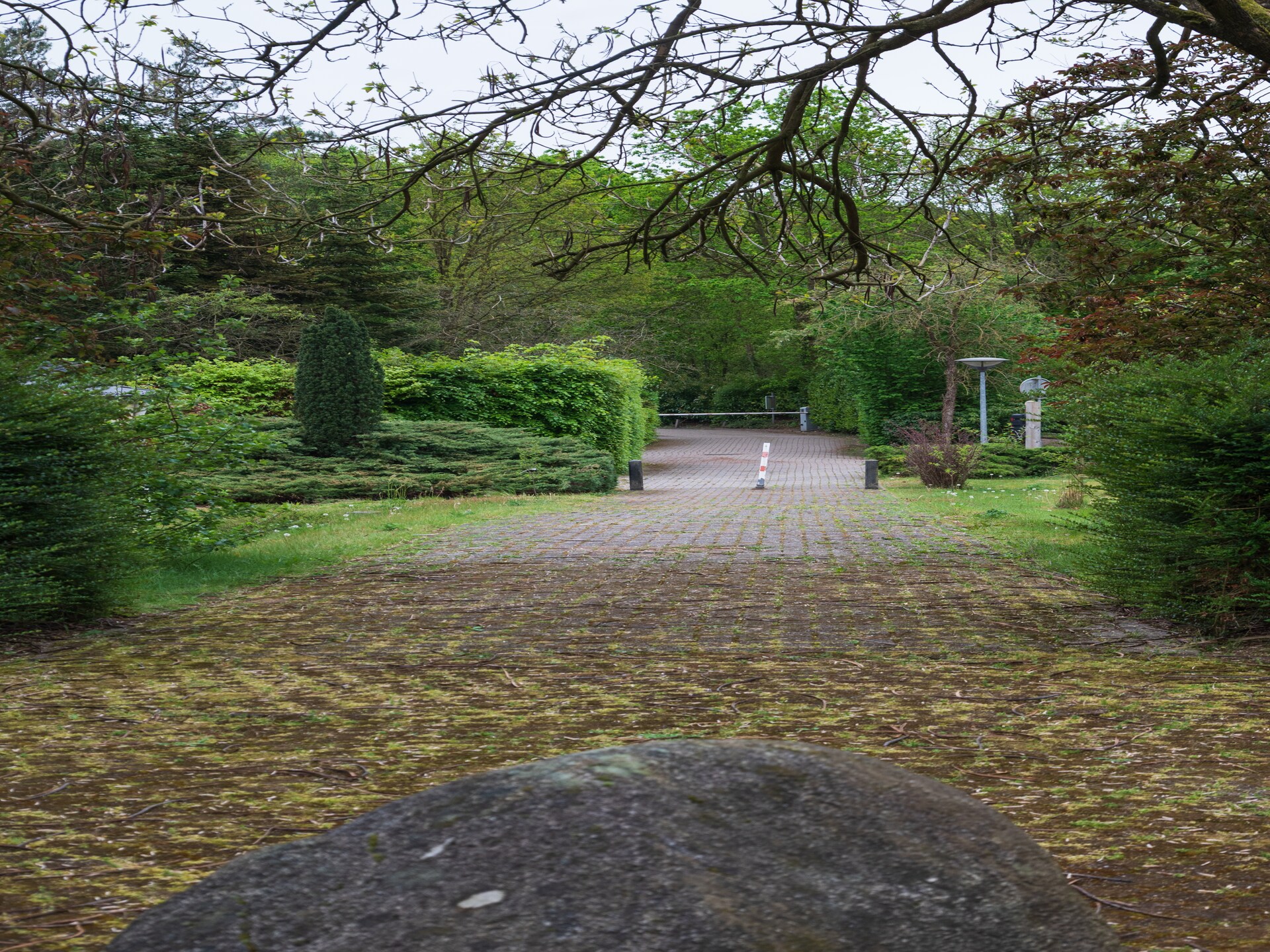 Vrijstaand vakantiehuis aan de golfbaan in bosrijk Stegeren - foto 36