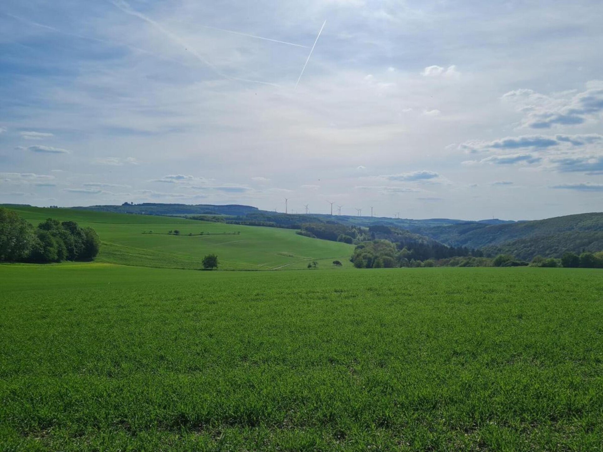 Barrièrevrij vakantiehuis in de Eifel bij Filz voor 10 personen - foto 36