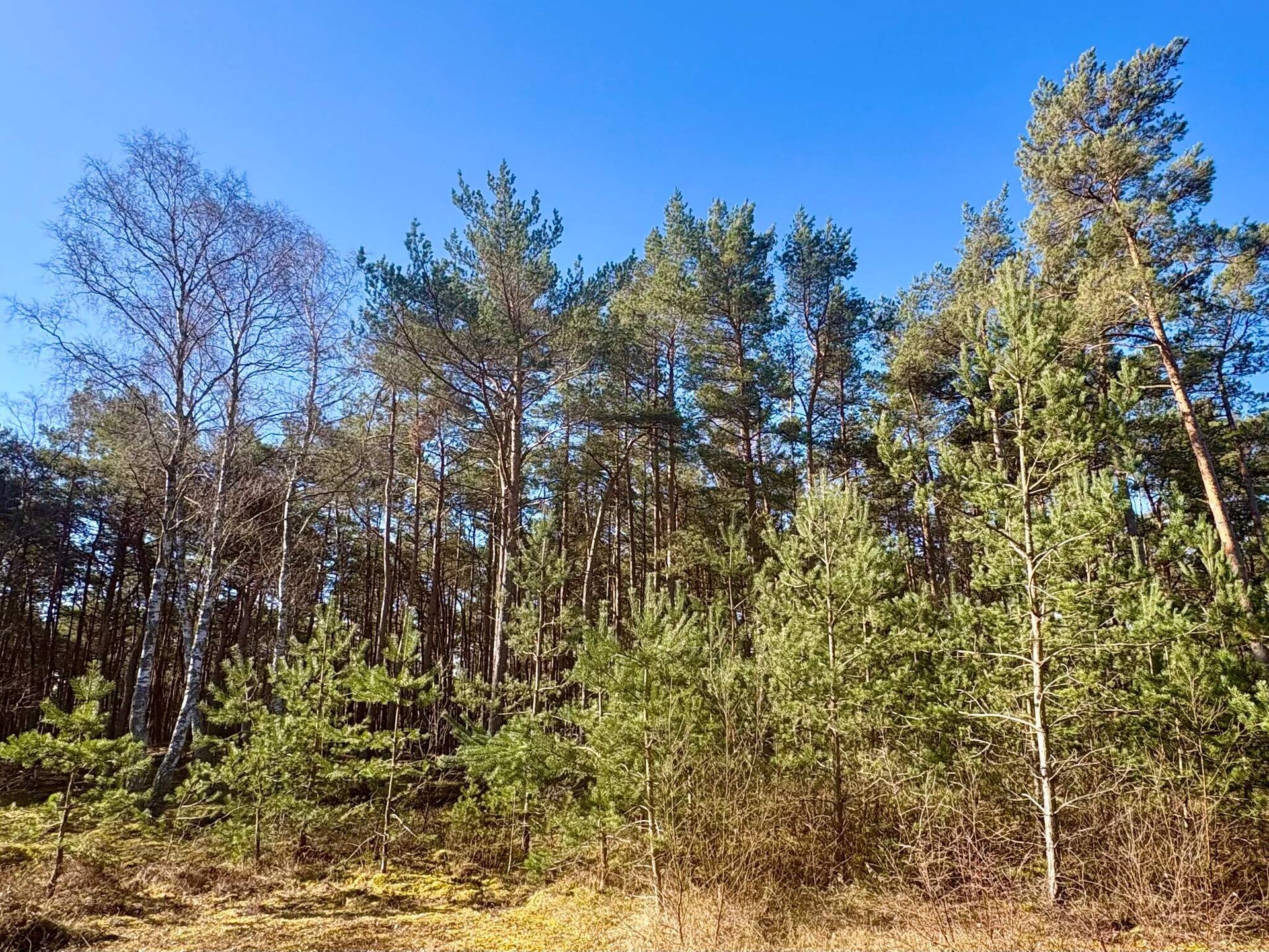 Vrijstaand vakantiehuis aan de golfbaan bij Aakirkeby, 250m van strand - foto 23