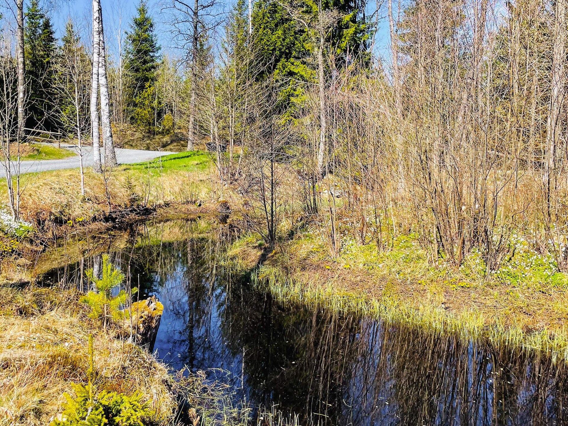 Sfeervol gastenverblijf aan vijver bij Bodafors, Småland - foto 7