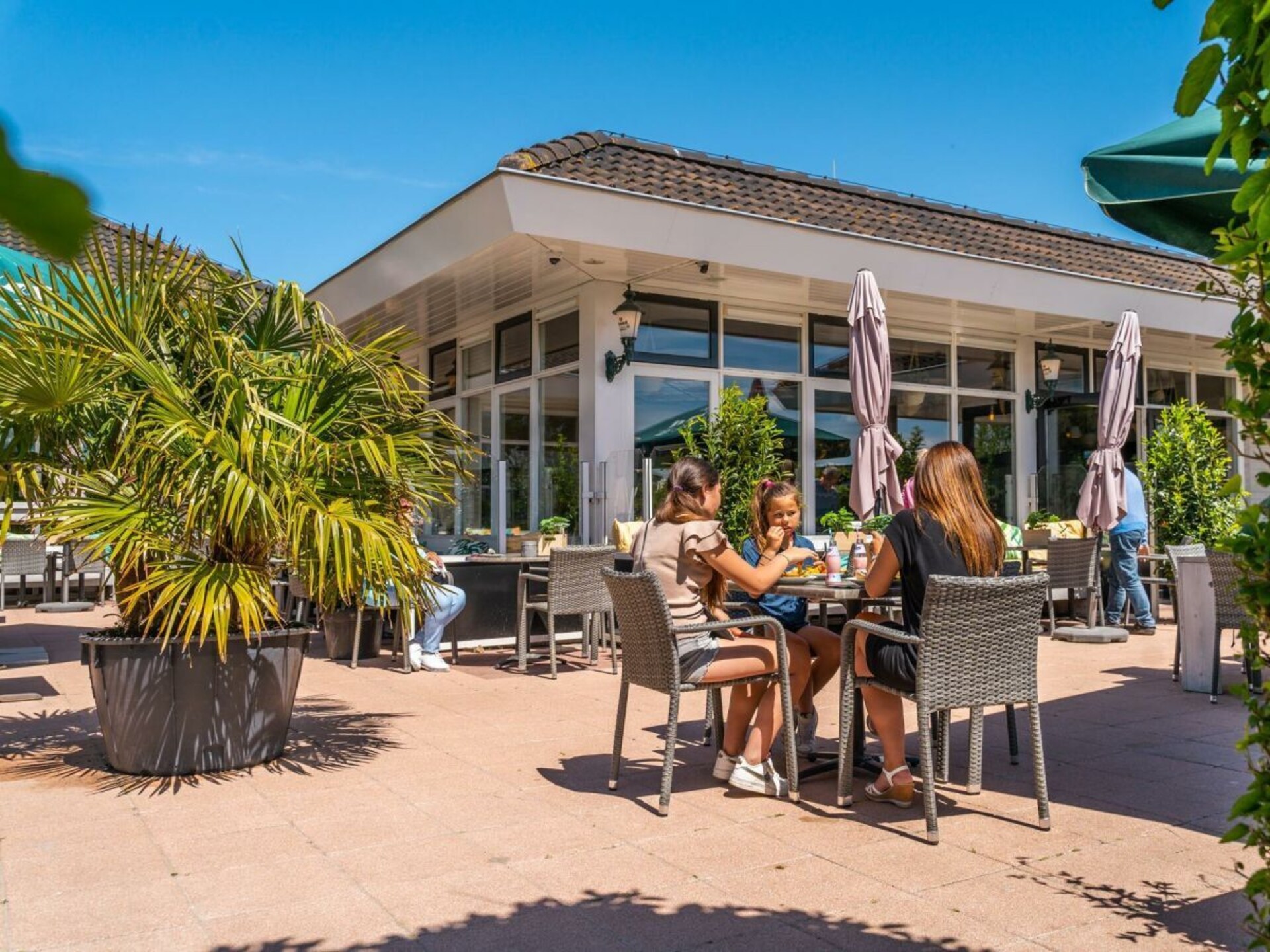 Knus vrijstaand huis voor 3, met hond, vlakbij strand Egmond - foto 10