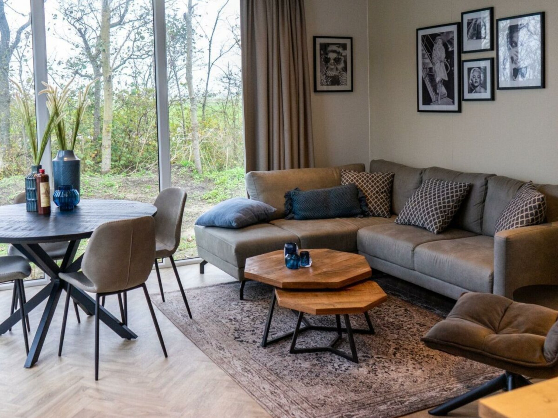 Knus vakantiehuis op WAD voor 4 personen, hondvriendelijk - foto 2