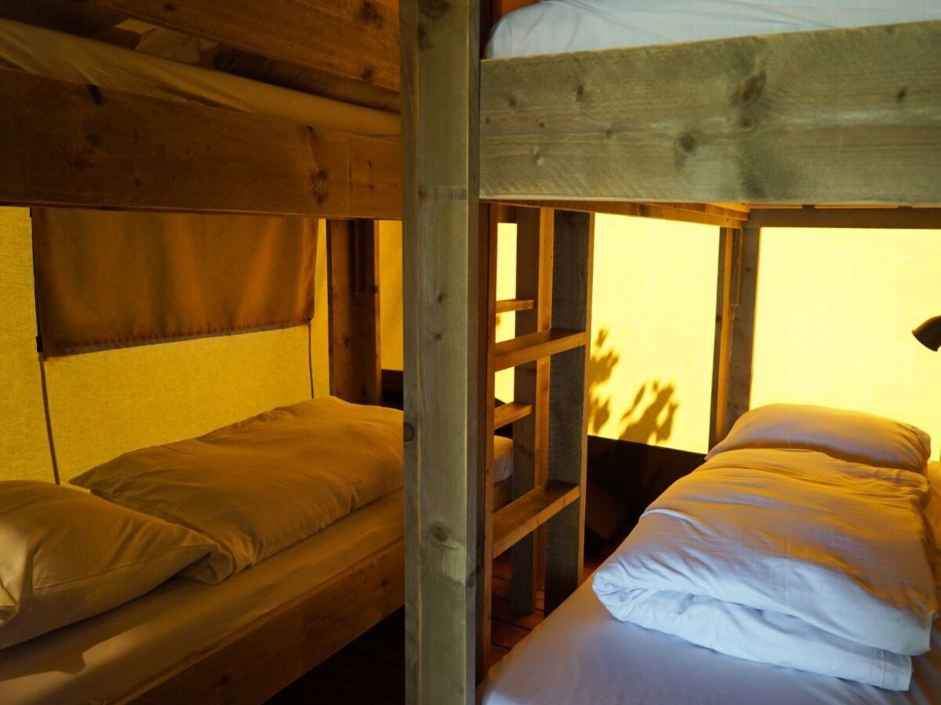 Ruime glamping lodge voor 6 personen in Noord-Scharwoude - foto 8