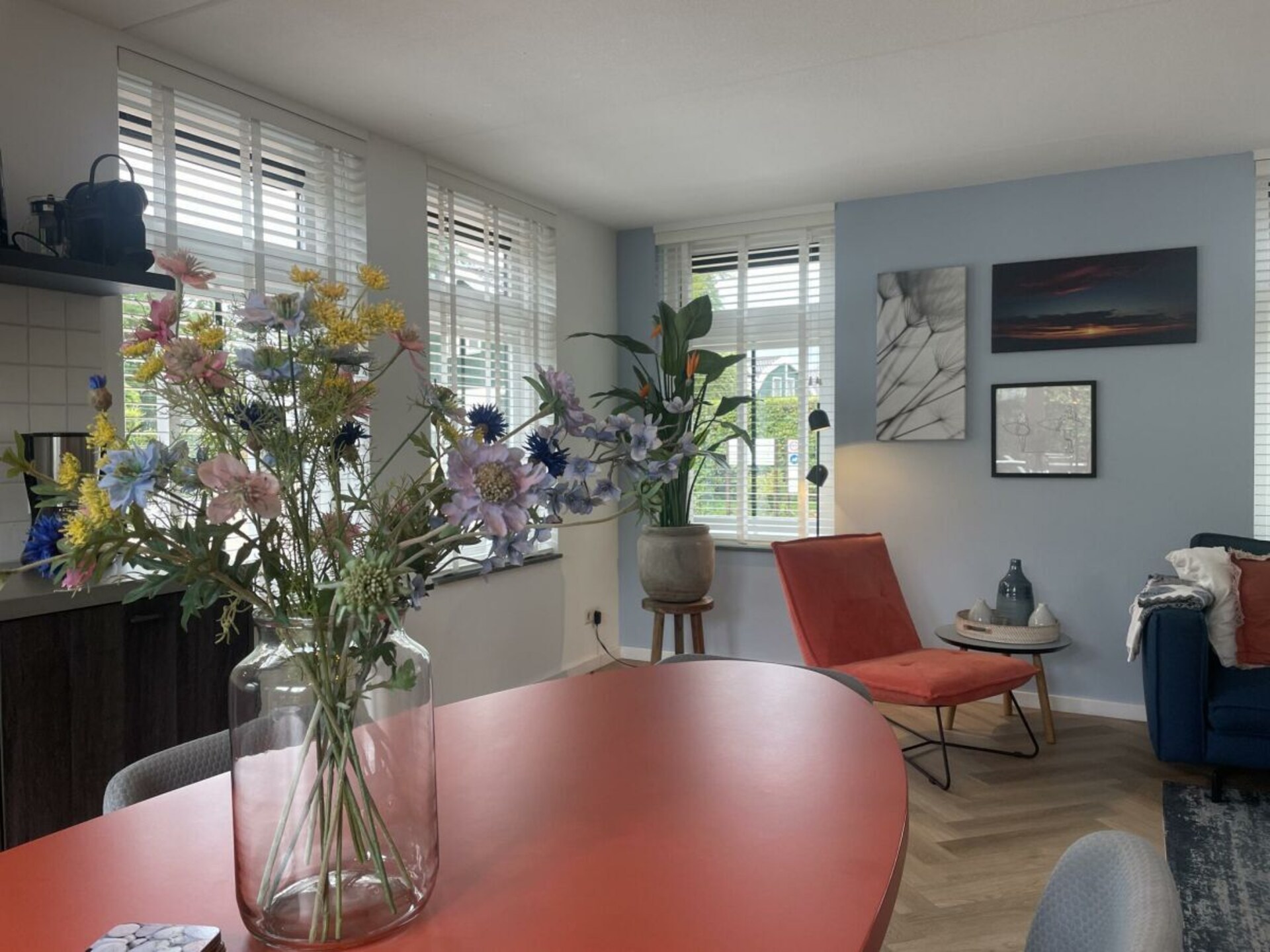 Rustiek vakantiehuis voor 6 in het hart van Noord-Holland - foto 6