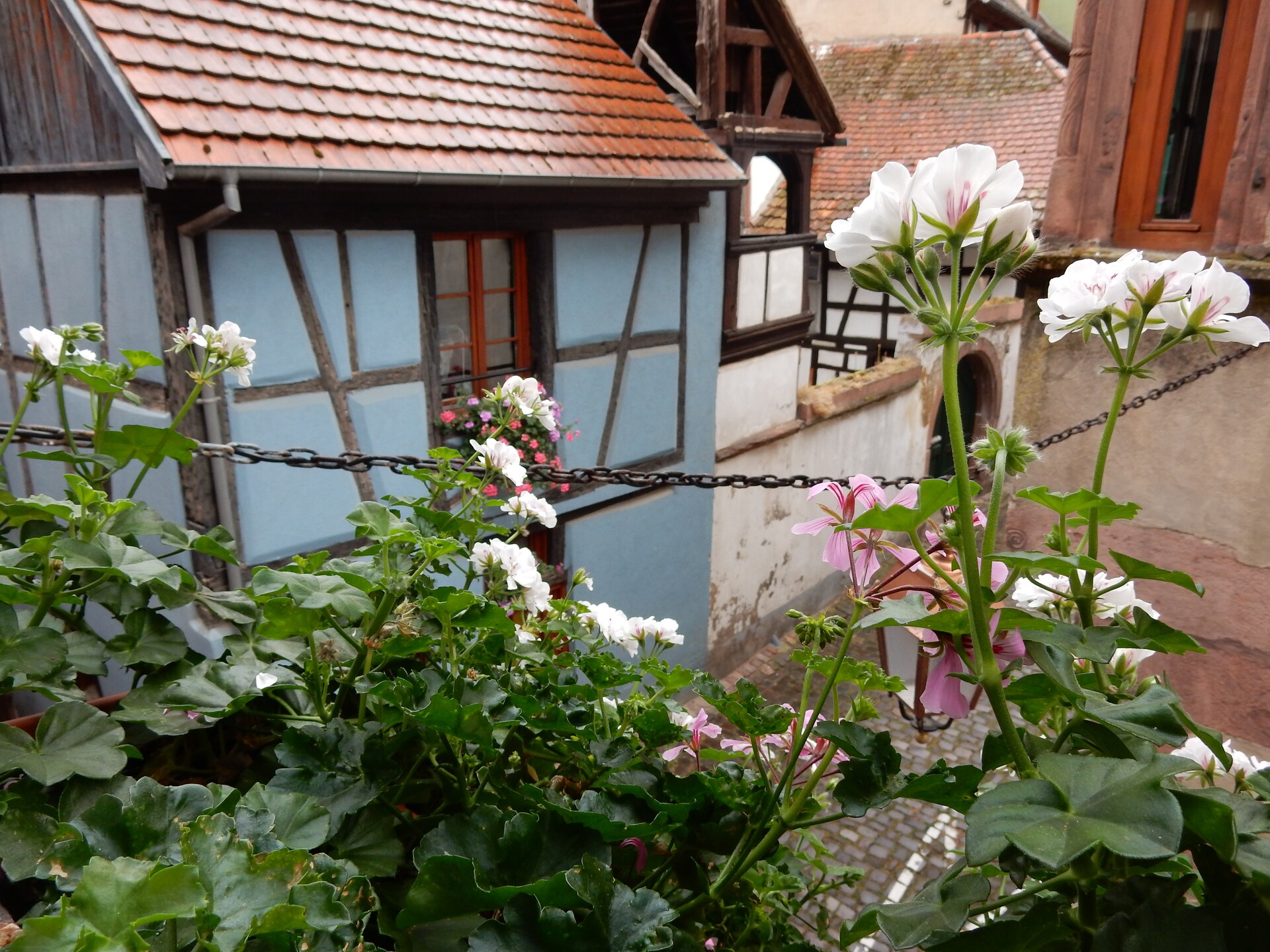 17e-eeuws wijnappartement aan de vestingmuur in Riquewihr - foto 20