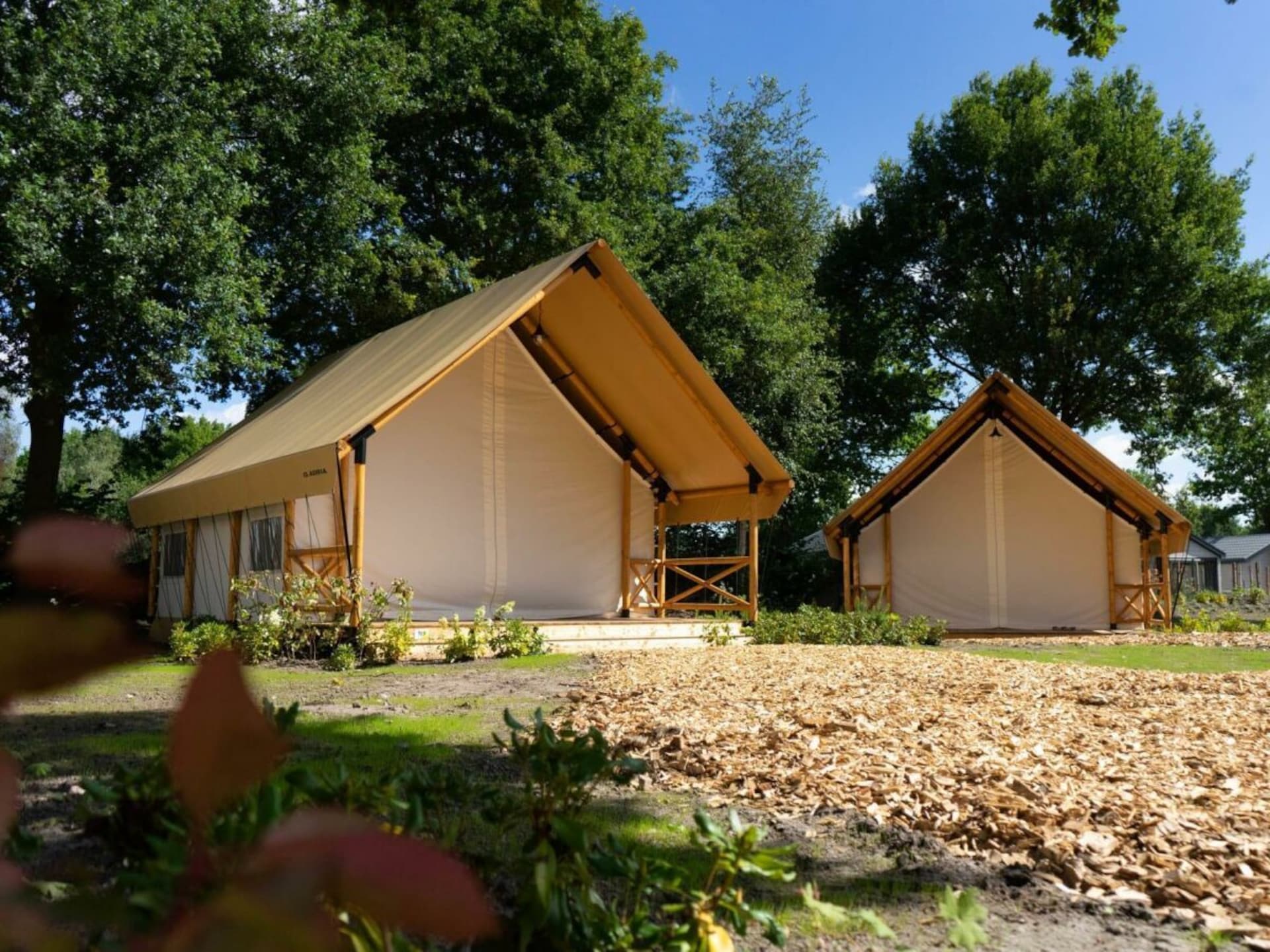 Luxe glampingtent voor 4 personen in Mol - foto 6