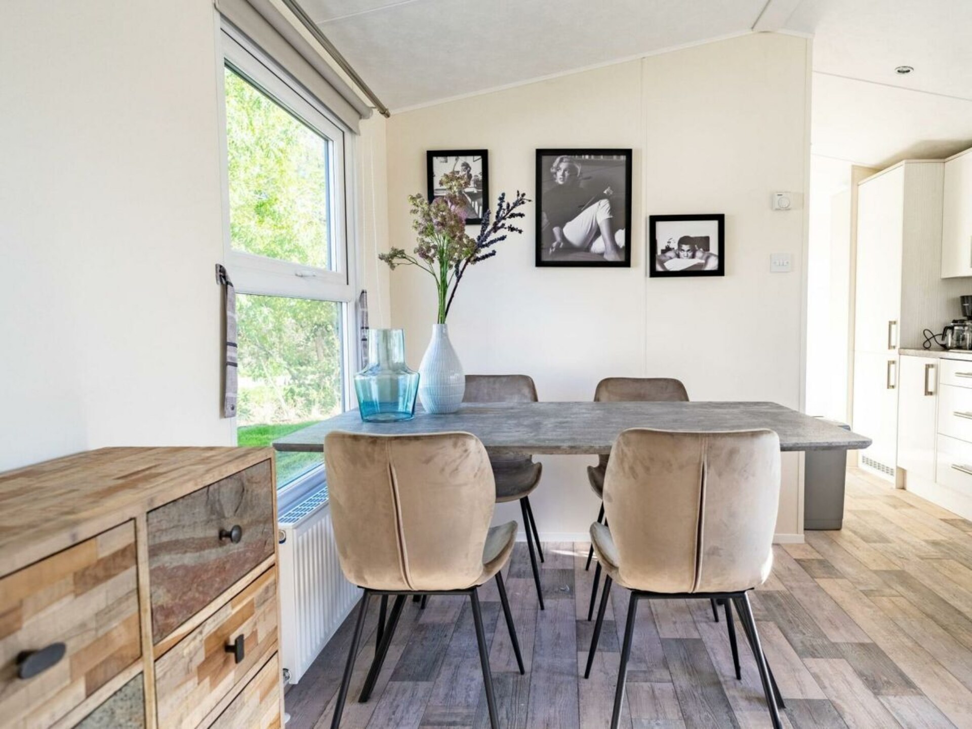 Knus vakantiehuis in NRDB voor 4 personen met hondvriendelijke tuin - foto 3