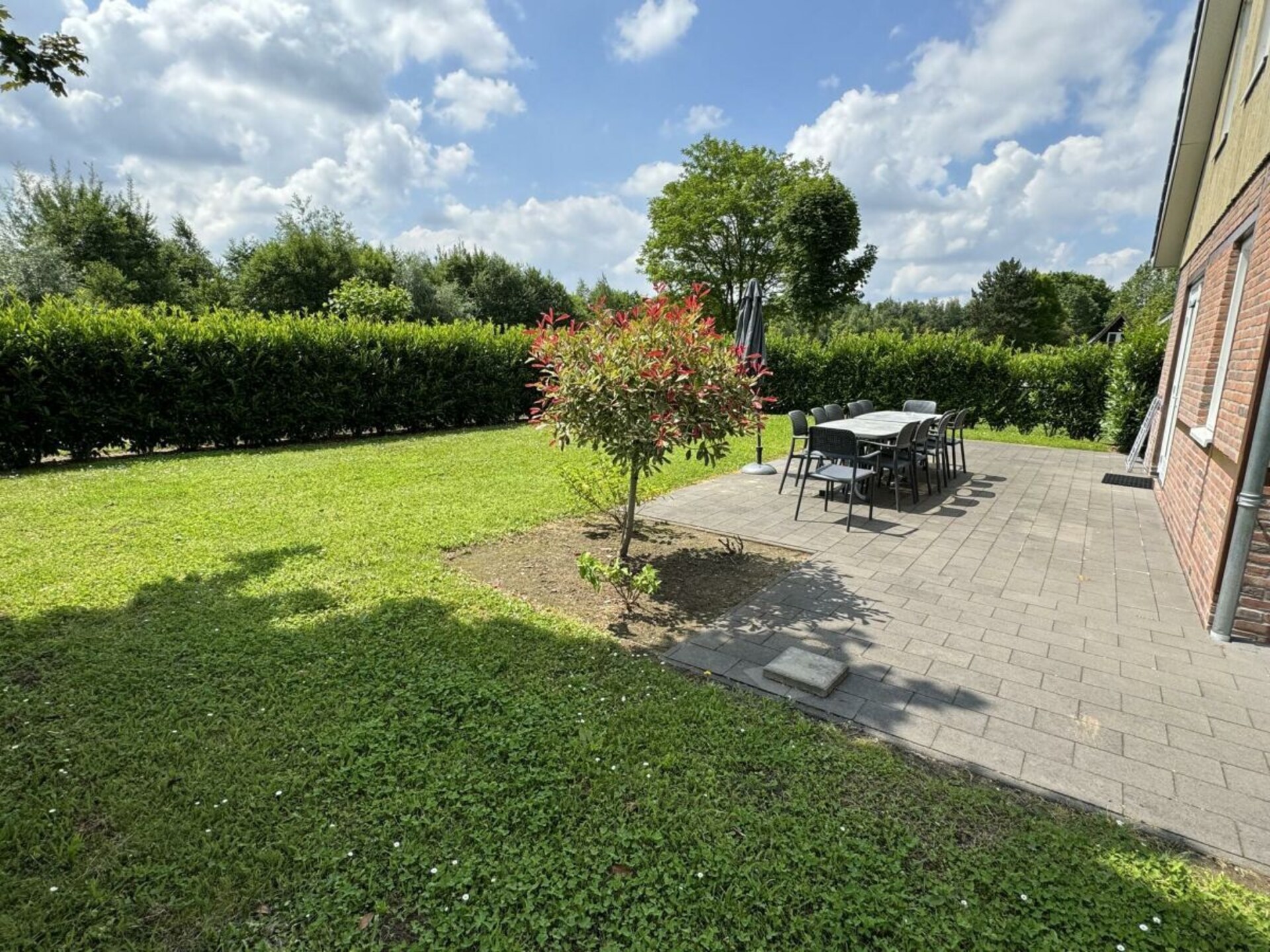 Vakantiehuis bij Landgoed Mergellim voor 10 personen met huisdieren - foto 5