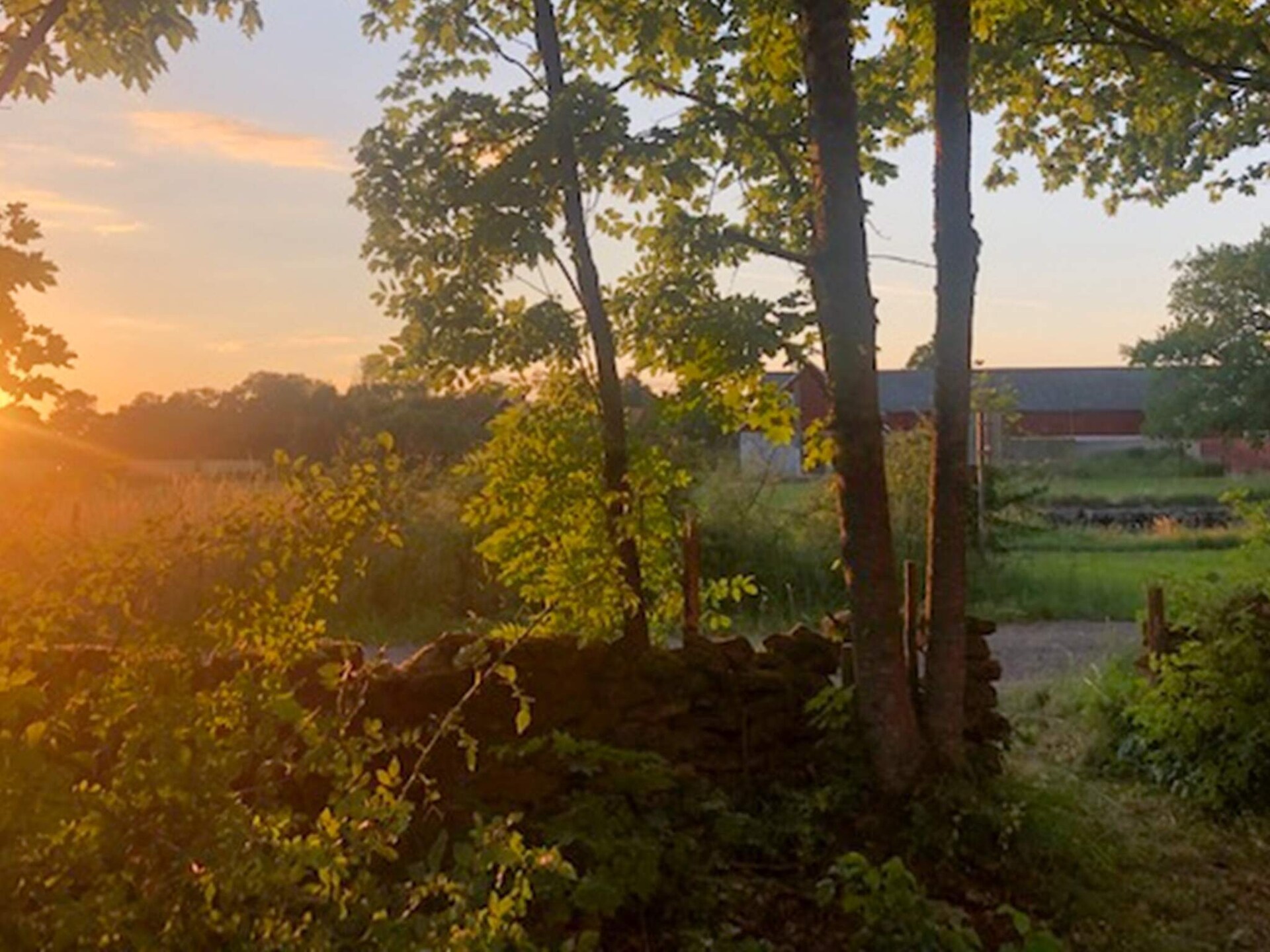 Knus vakantiehuis aan de golfbaan bij Borgholm, Öland - foto 18