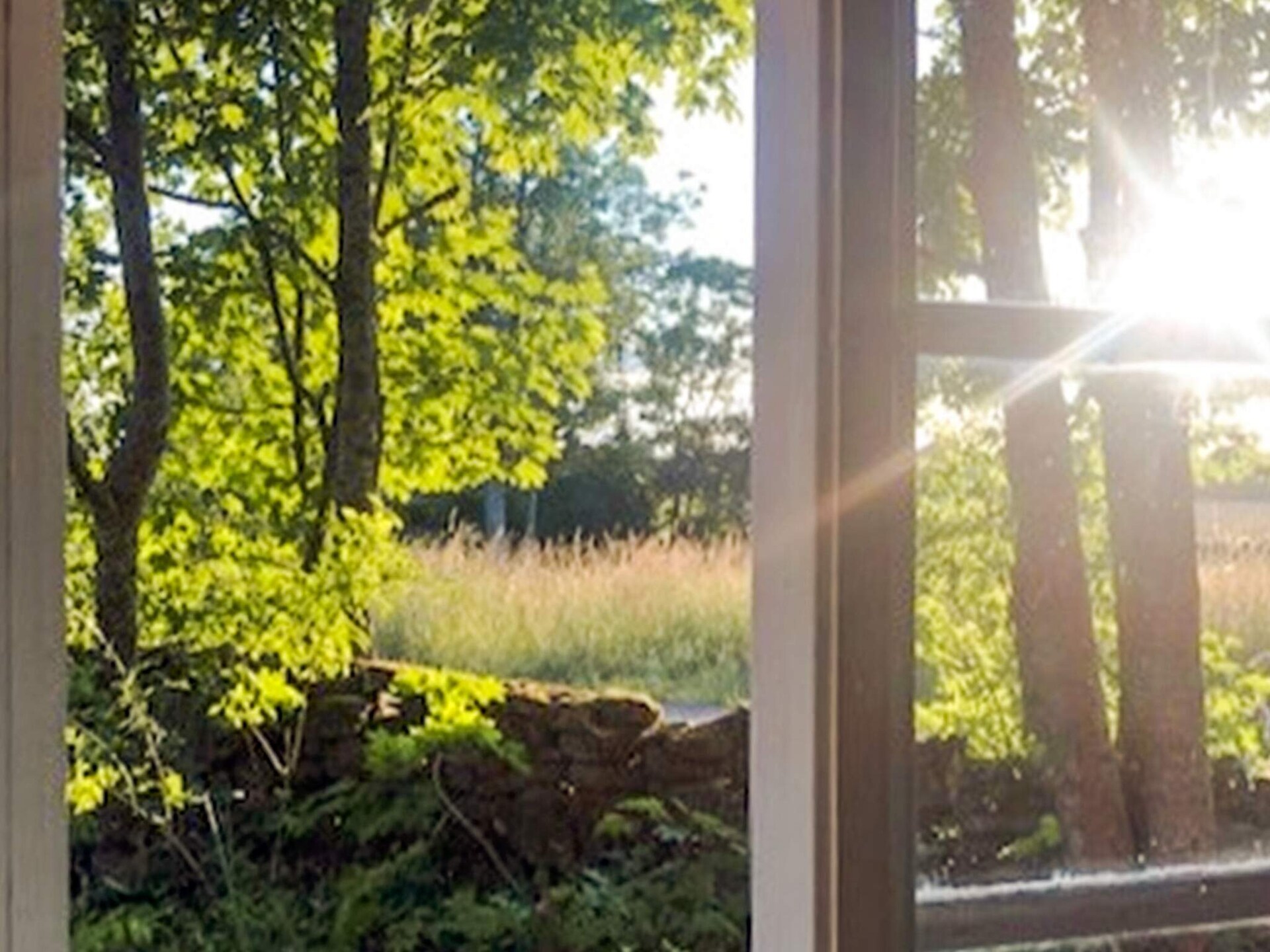 Knus vakantiehuis aan de golfbaan bij Borgholm, Öland - foto 4