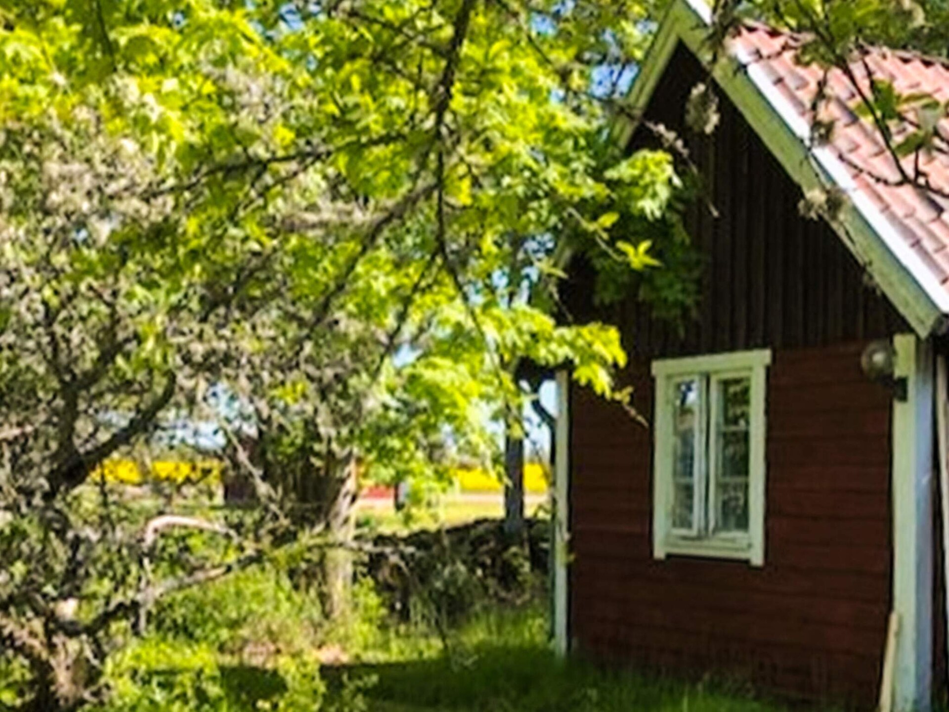 Knus vakantiehuis aan de golfbaan bij Borgholm, Öland - foto 19