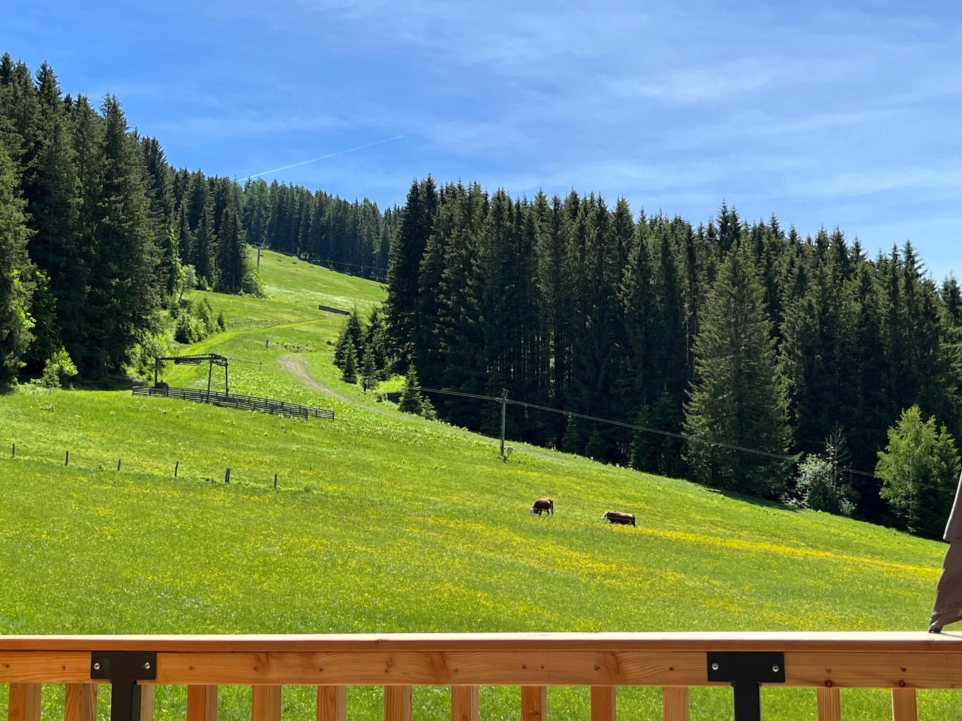 10-persoons vakantiehuis aan de piste in St. Lambrecht - foto 29