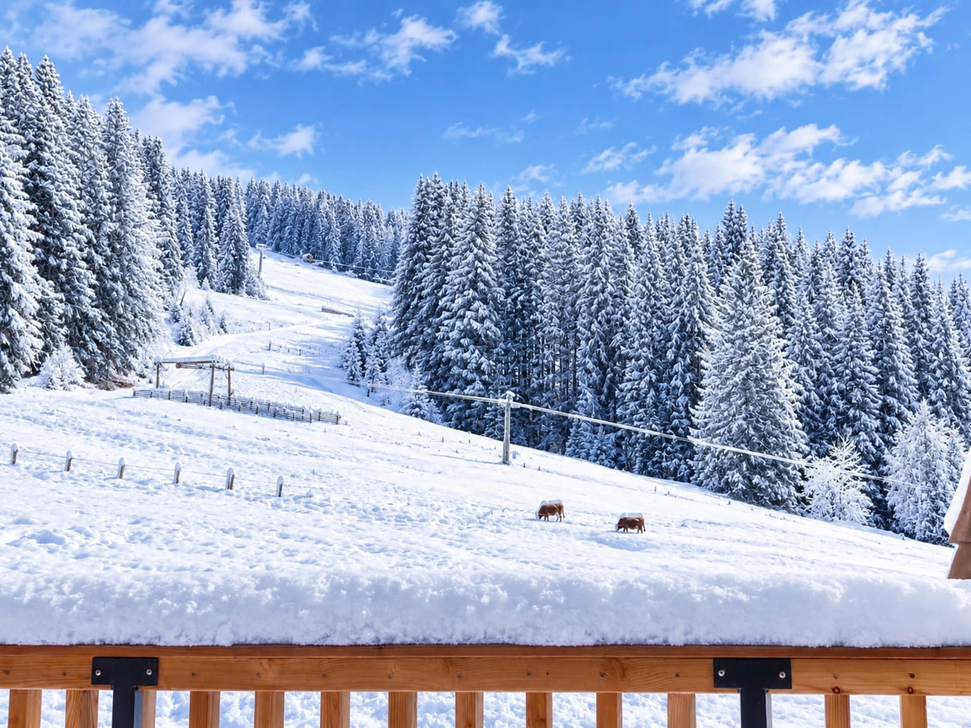 10-persoons vakantiehuis aan de piste in St. Lambrecht - foto 24