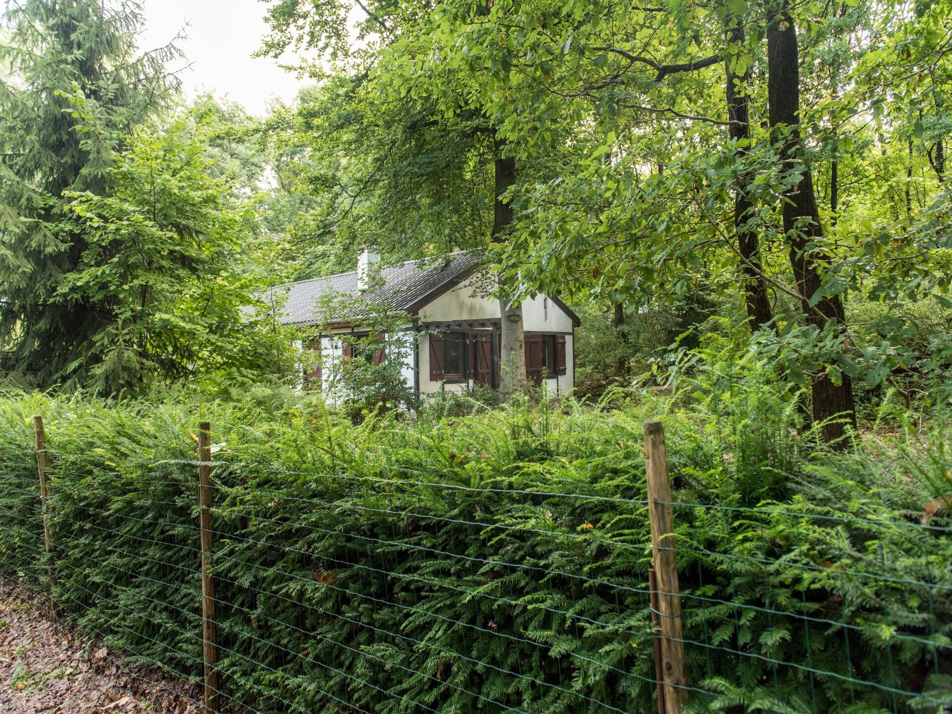 8-persoons vakantiehuis met afgesloten tuin in Rendeux - Beffe - foto 10