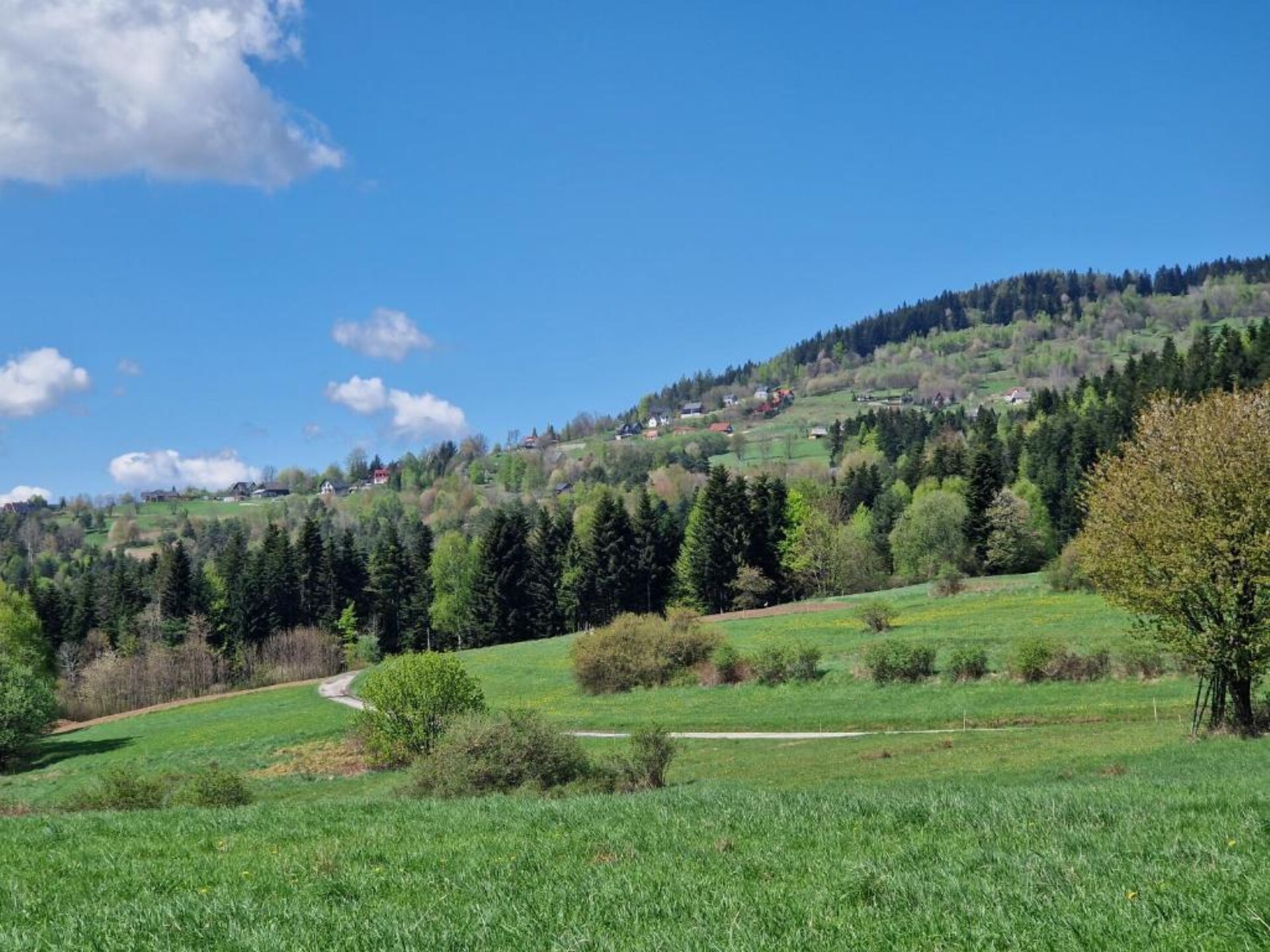 Ruim vakantiehuis met spectaculair bergzicht aan de rand van Przysłop - foto 43