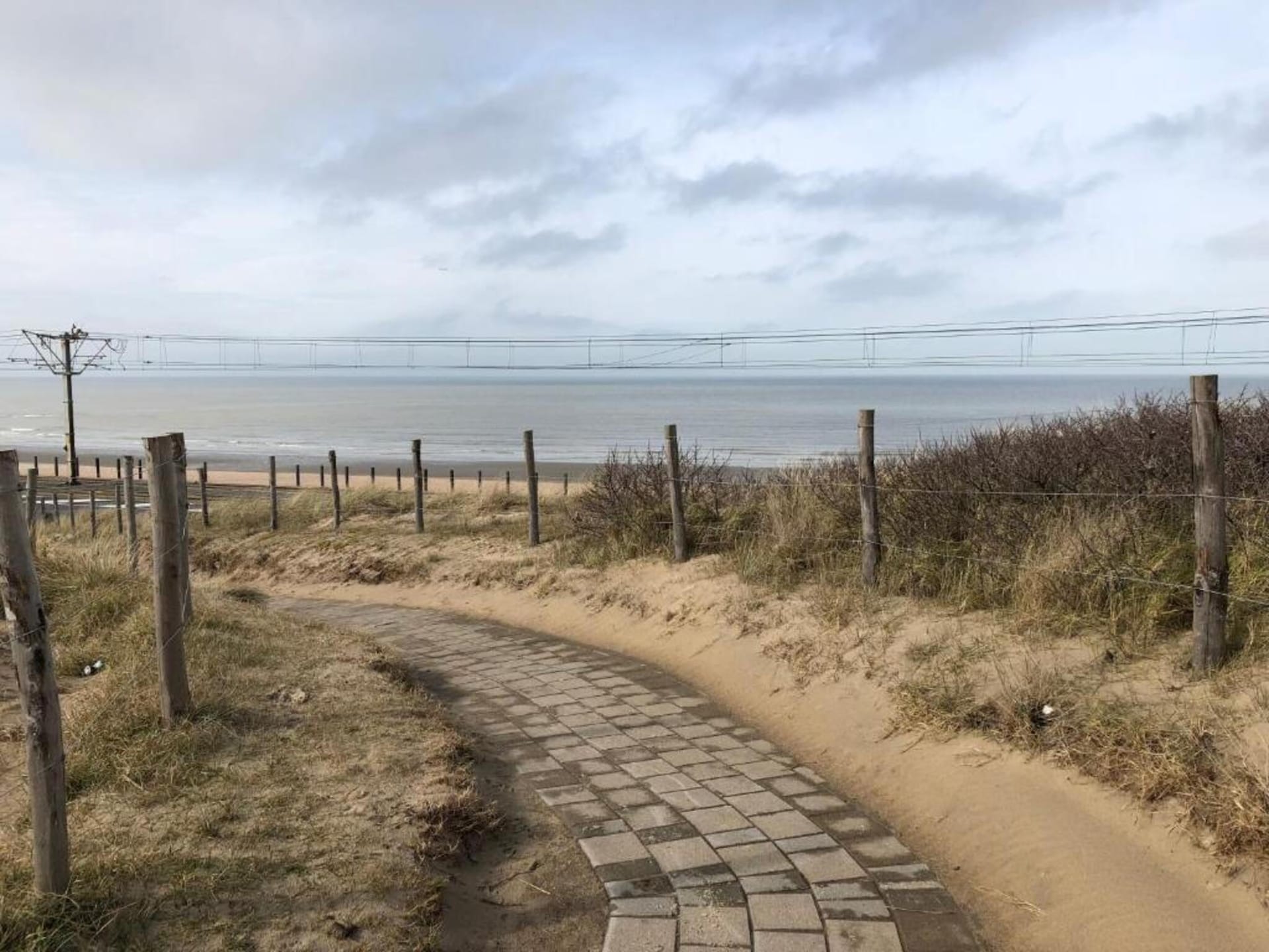 Lichte studio met zeezicht en terras in hartje Oostduinkerke - foto 16