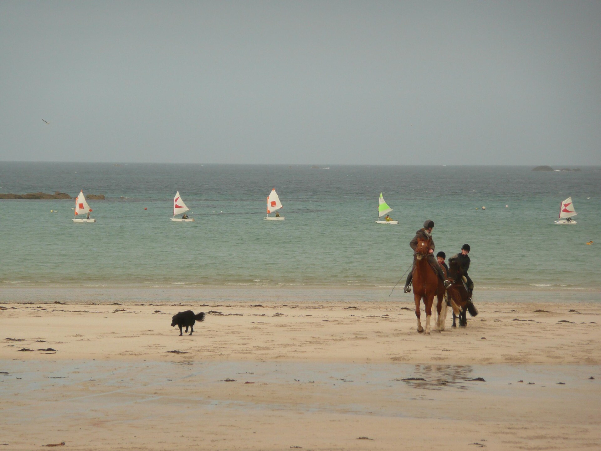 Op 400 m van zee: Licht vakantiehuis voor 8 personen in Porspoder - foto 37