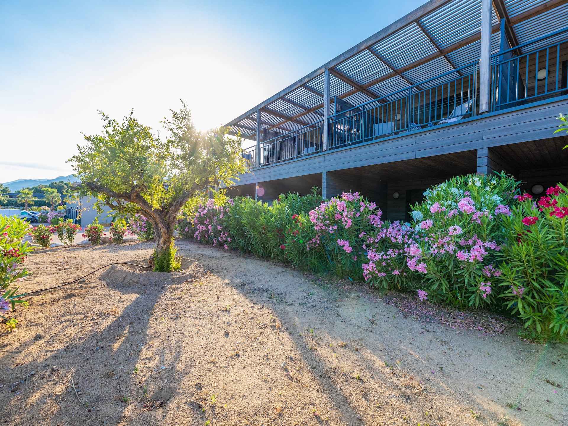 Luxe appartement met terras en zwembad in Porto-Vecchio - foto 18
