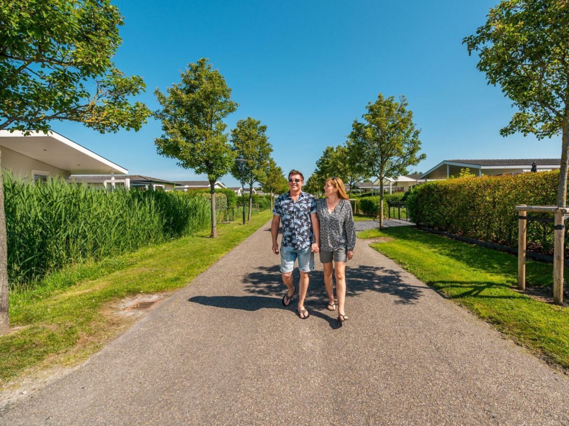 Licht vakantiehuis Veranda 4 in Breskens voor 4 personen - foto 5
