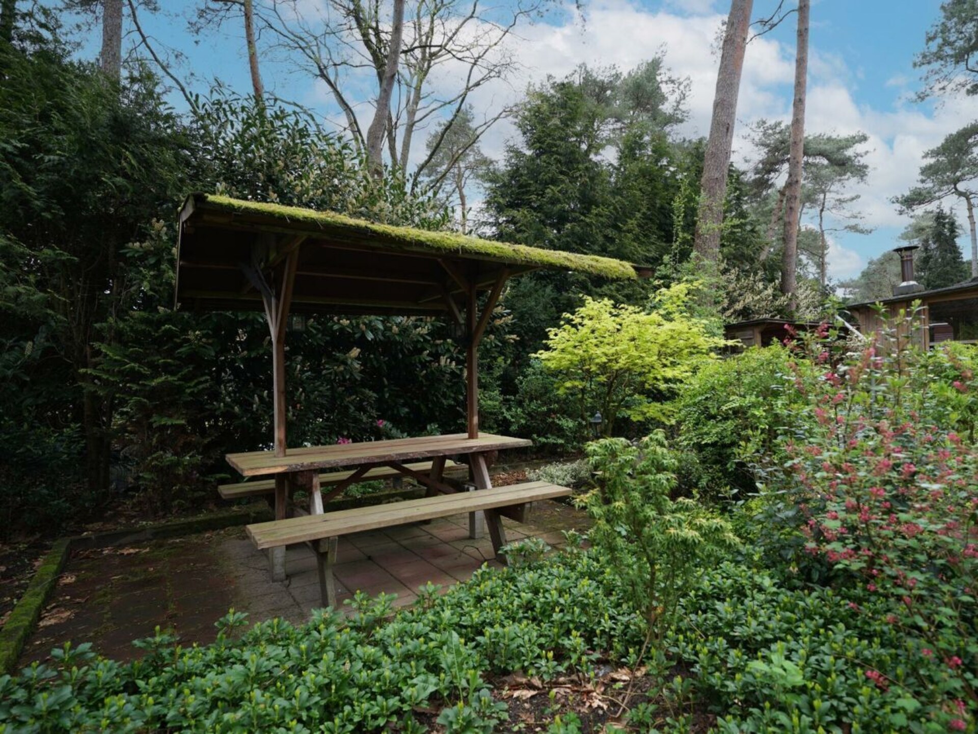 Vrijstaand vakantiehuis midden in het bos in Beekbergen - foto 14