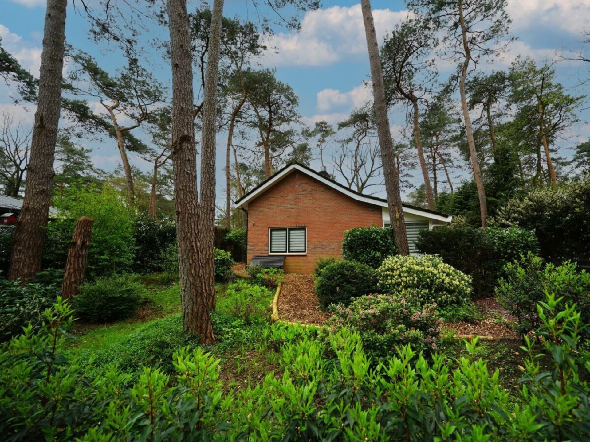 Vrijstaand vakantiehuis midden in het bos in Beekbergen - foto 15