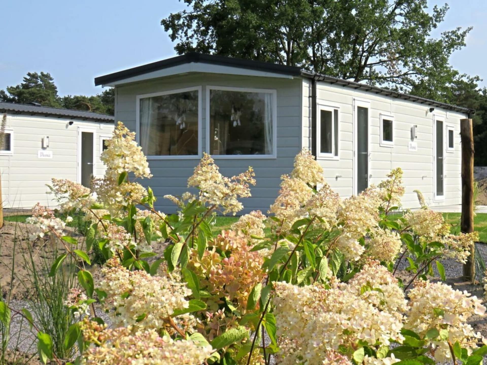 Modern gelijkvloers 6-persoons vakantiehuis in Mol - foto 1