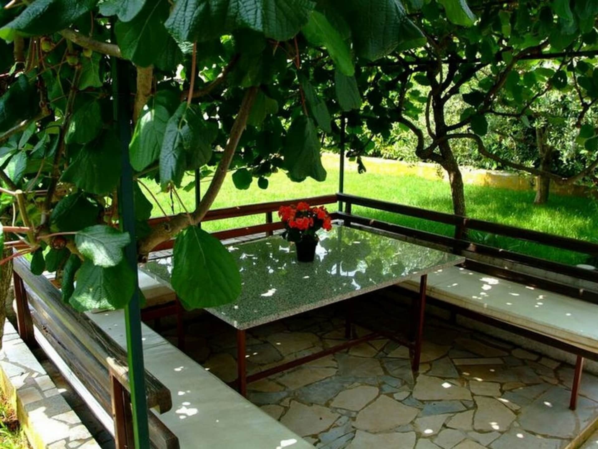 4-persoons vakantiehuis in Novigrad met terras onder kiwiboom - foto 3