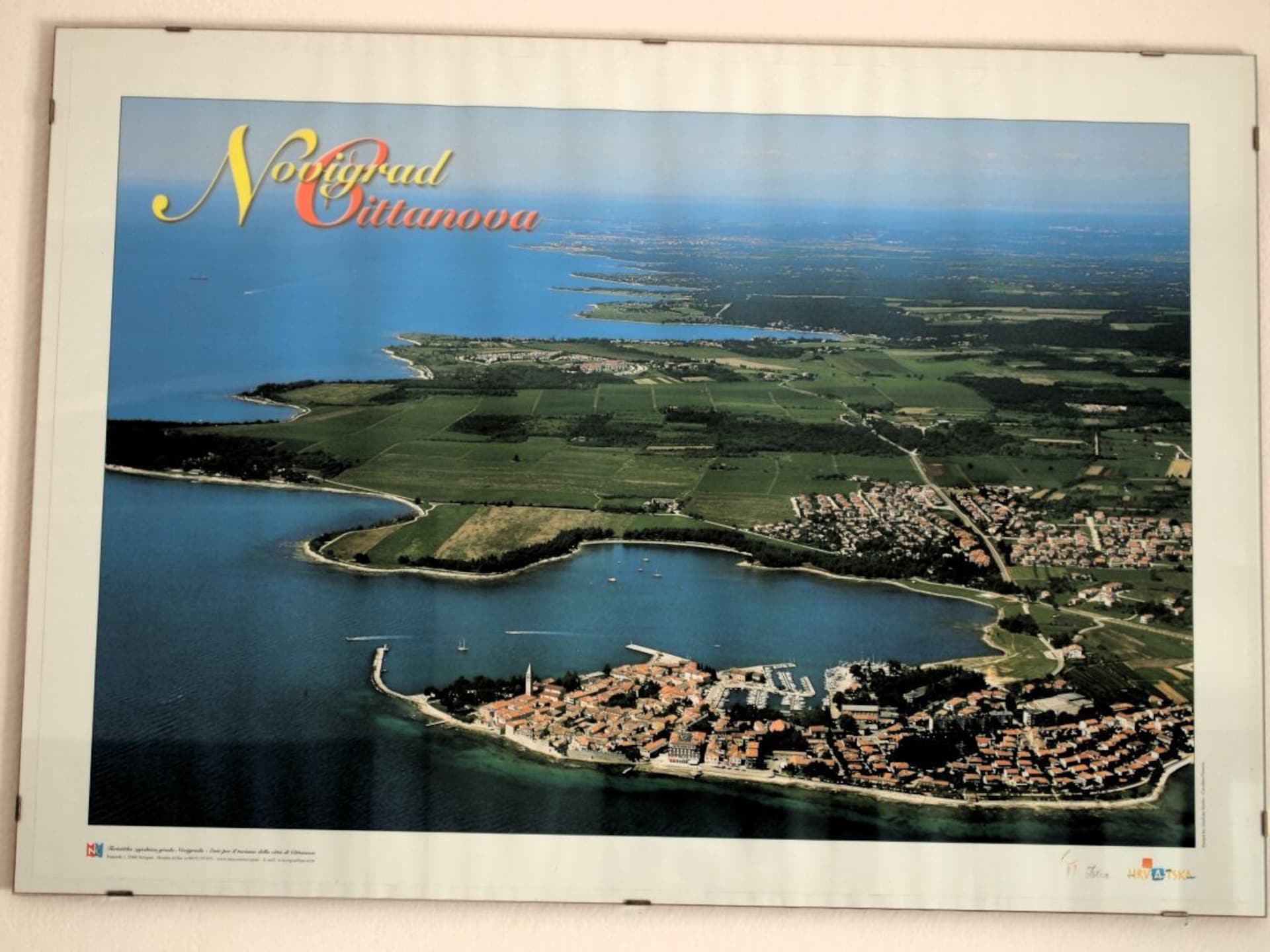 4-persoons vakantiehuis in Novigrad met terras onder kiwiboom - foto 8