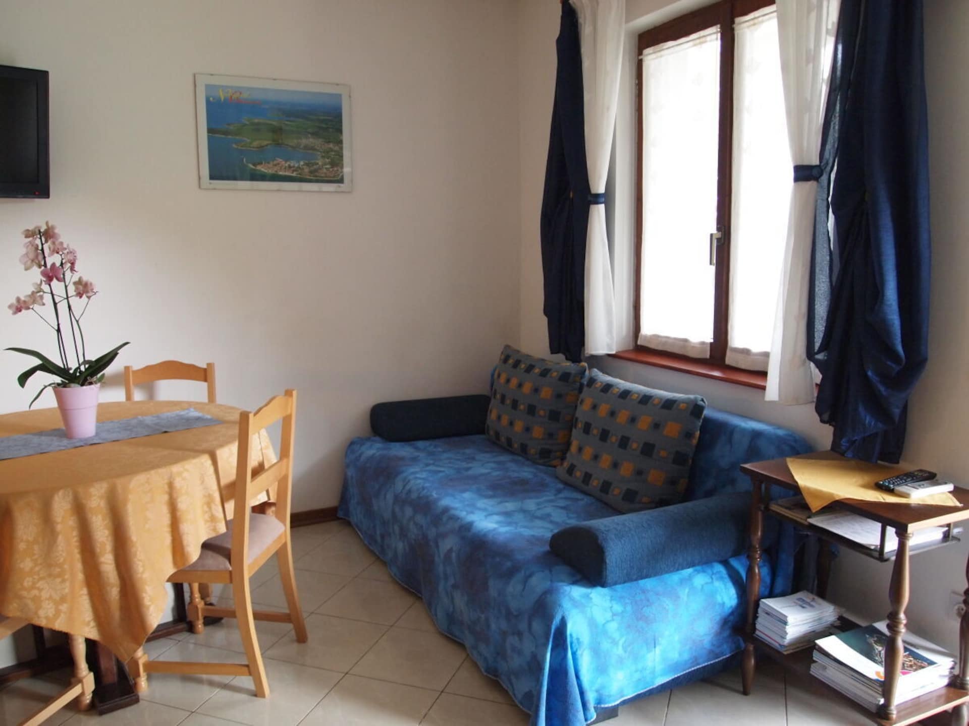 4-persoons vakantiehuis in Novigrad met terras onder kiwiboom - foto 25