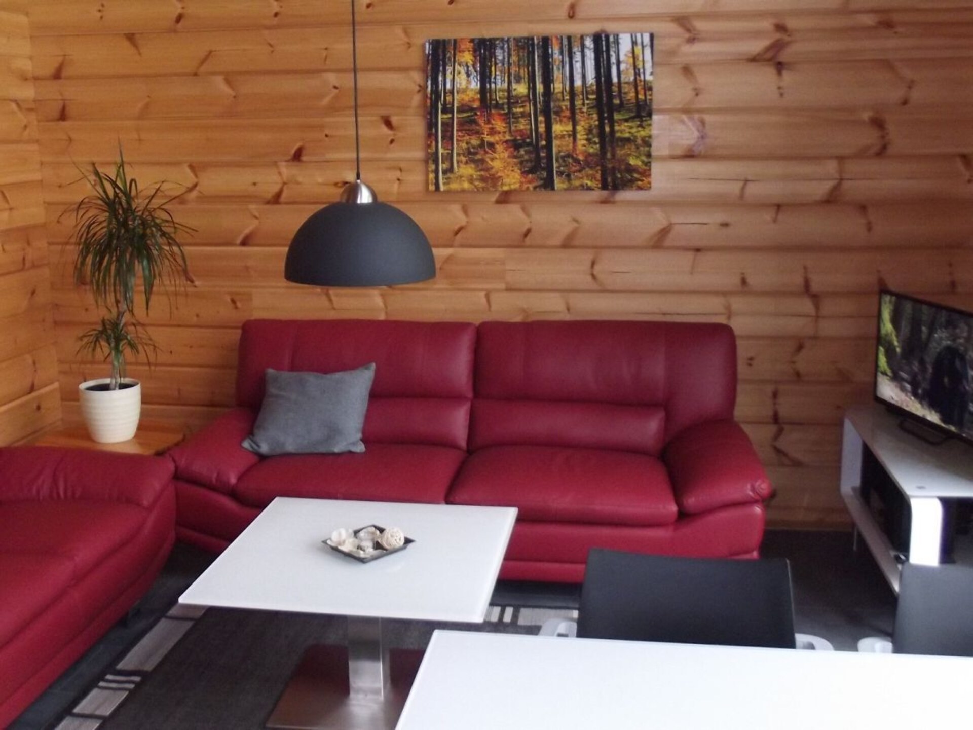 Rolstoelvriendelijke blokhut met sauna & open haard in Friedrichsbrunn - foto 14