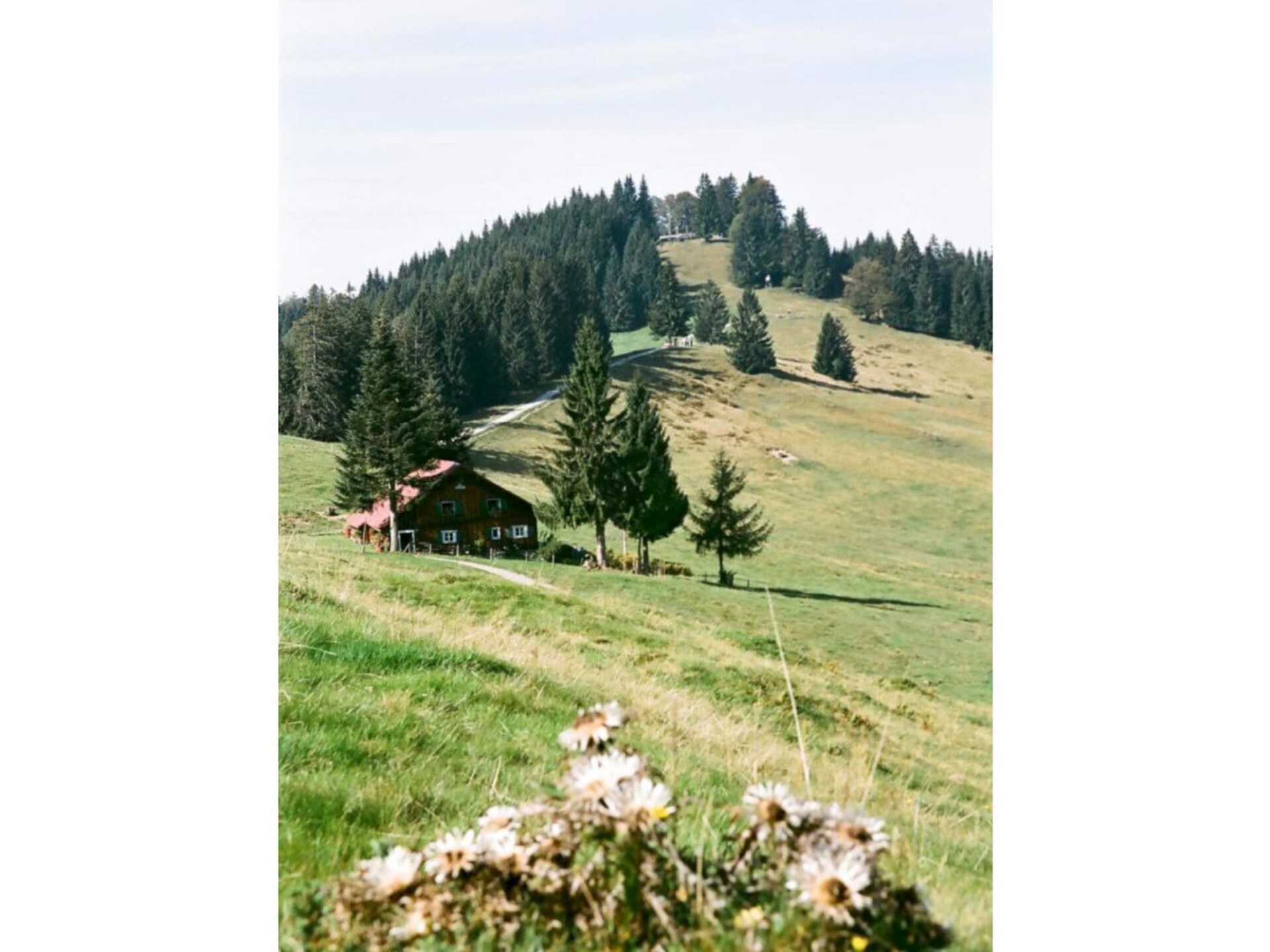 4-persoons vakantiehuis in Oberstaufen nabij de piste - foto 26