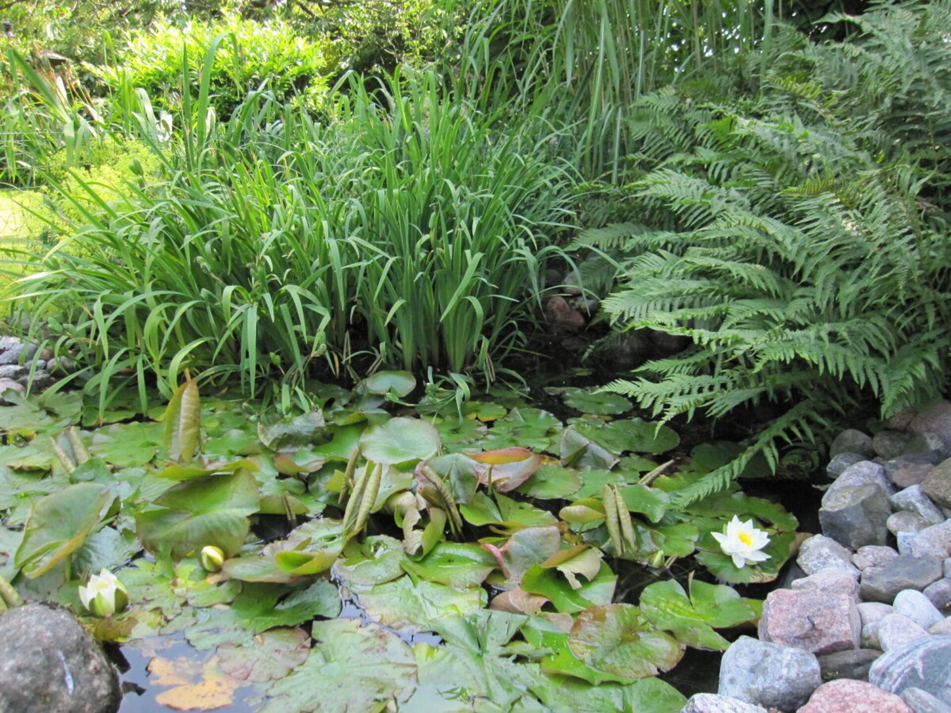 Stijlvol landhuis aan de Schlei in Ulsnis met grote tuin en terras - foto 7