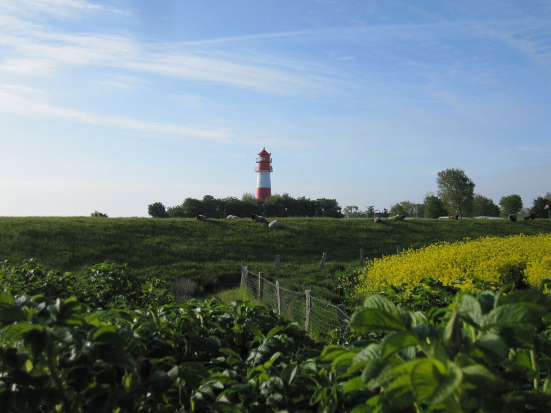 Stijlvol landhuis aan de Schlei in Ulsnis met grote tuin en terras - foto 31