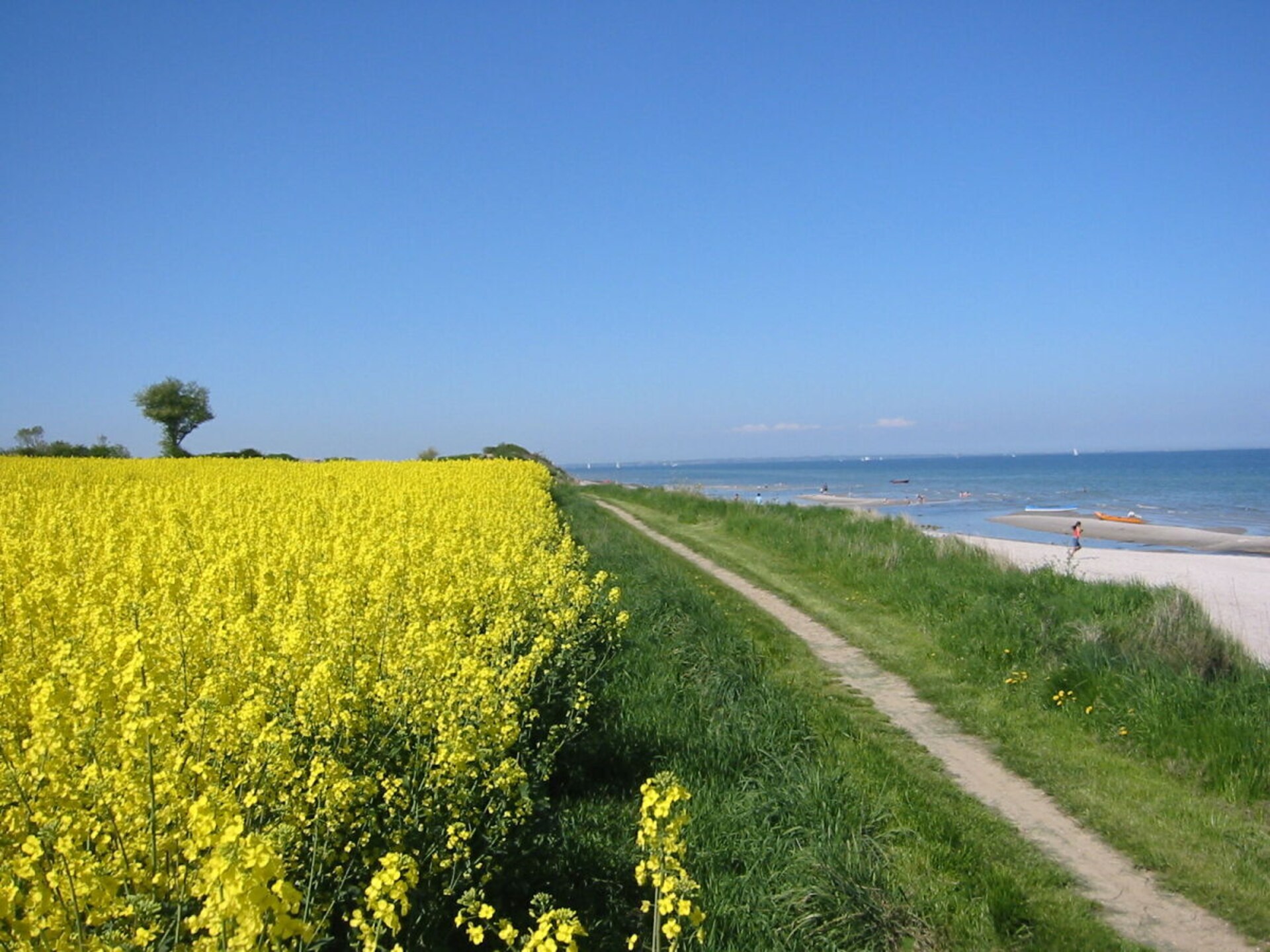 Strandappartement Ostseeglück in Kronsgaard met direct uitzicht op de Oostzee - foto 5