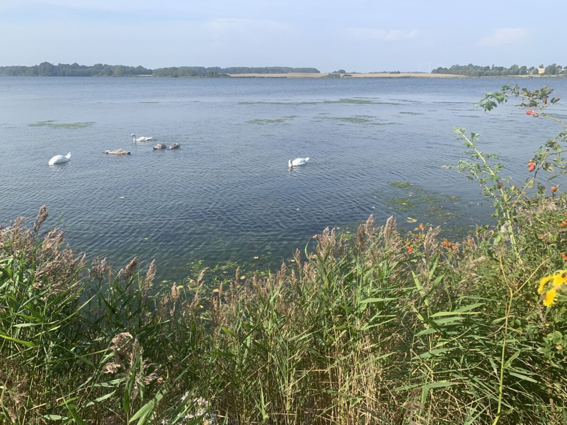 Strandappartement Ostseeglück in Kronsgaard met direct uitzicht op de Oostzee - foto 30