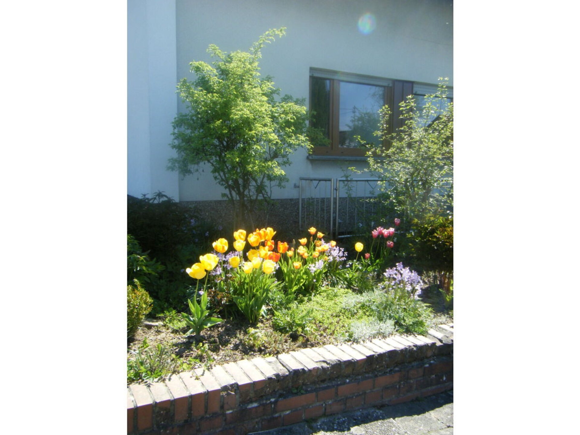 Zonnig vakantiehuis op heuveltop in Merzig-Bietzen aan de Saar - foto 4