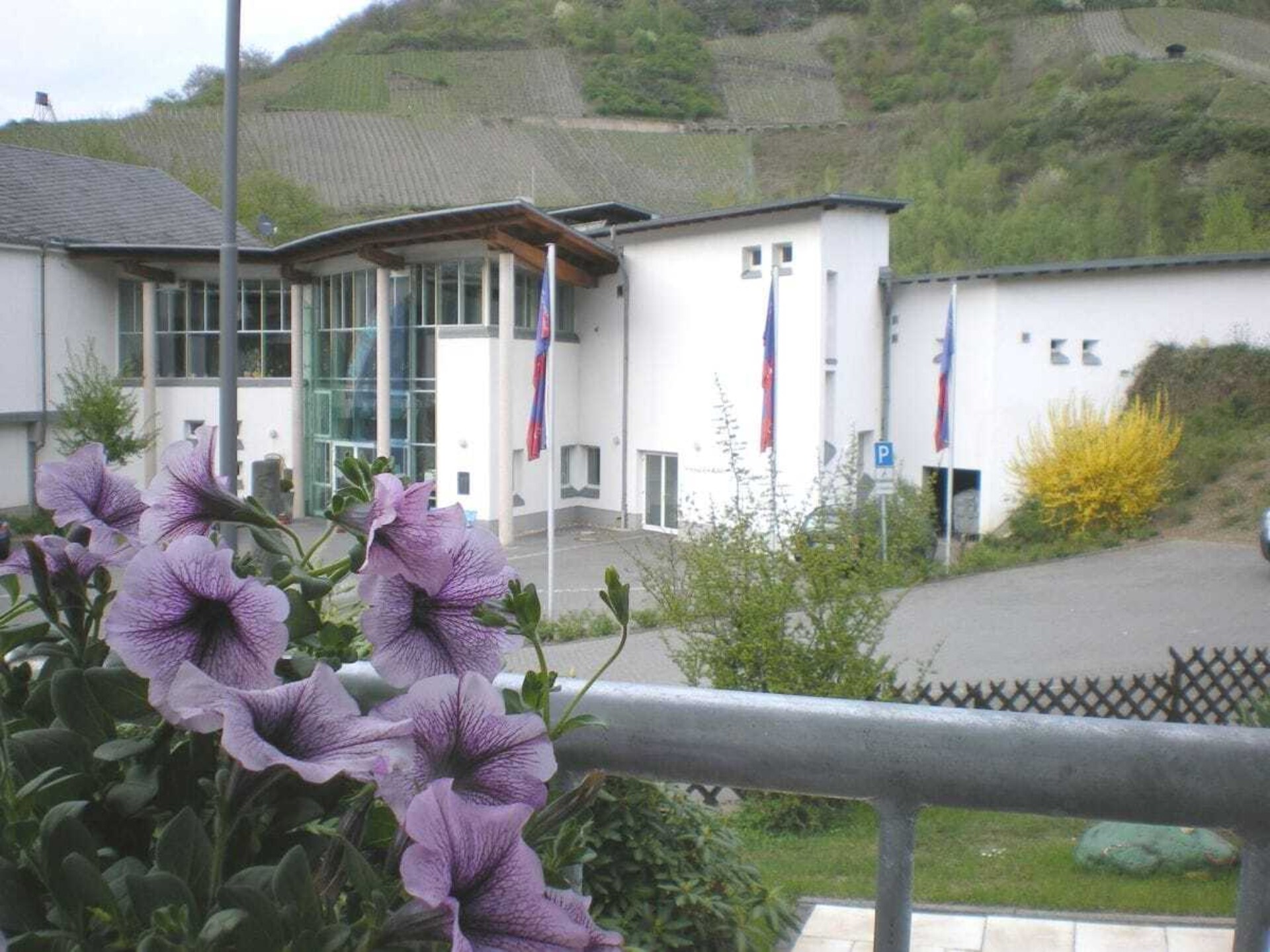Rustig vakantiehuis aan de bosrand in Traben-Trarbach - foto 4
