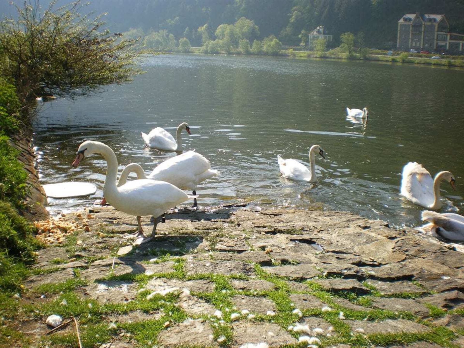 Rustig vakantiehuis aan de bosrand in Traben-Trarbach - foto 18