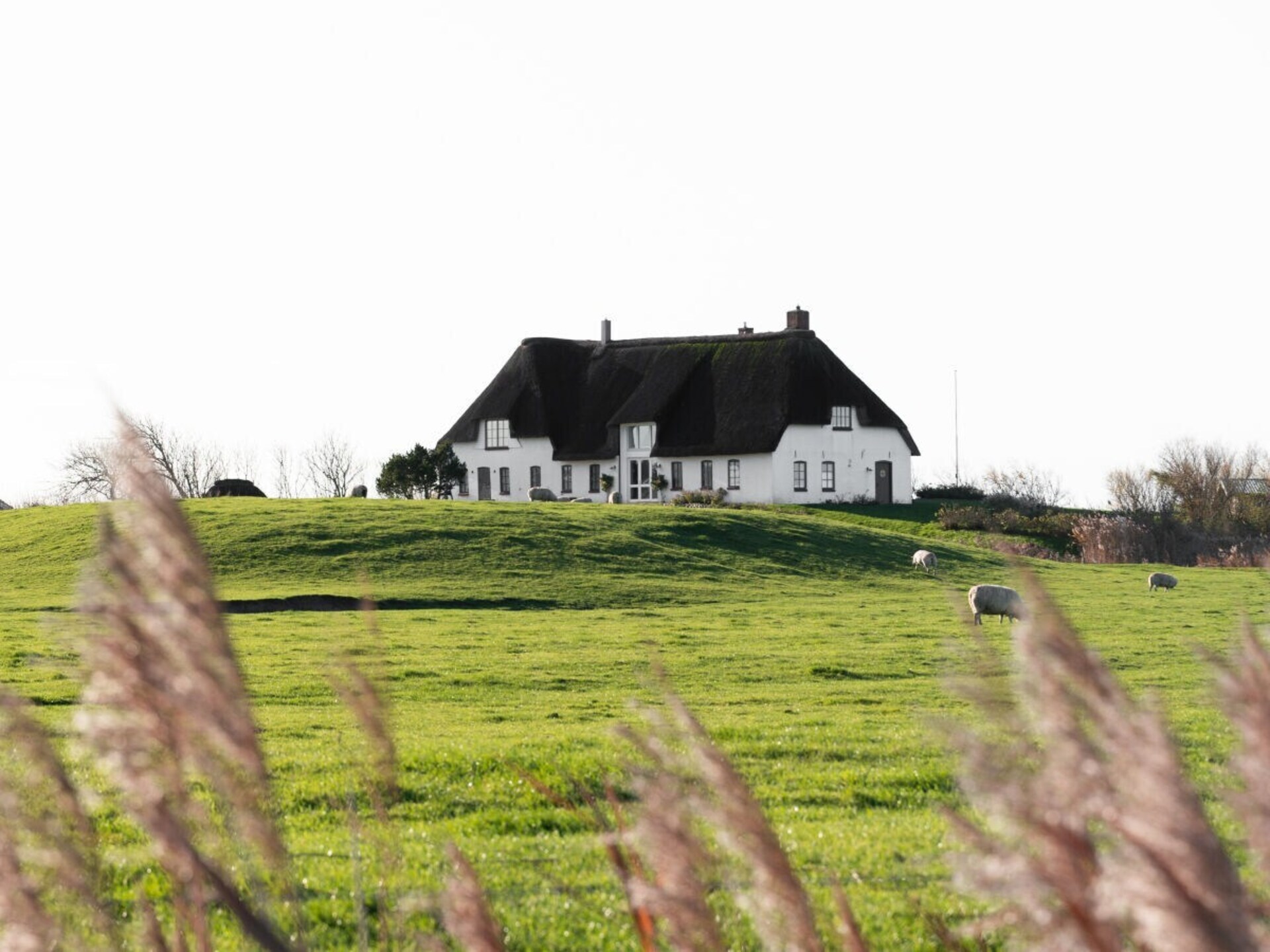 Ruim rietgedekt vakantiehuis voor 12 personen met privé sauna op Pellworm - foto 3