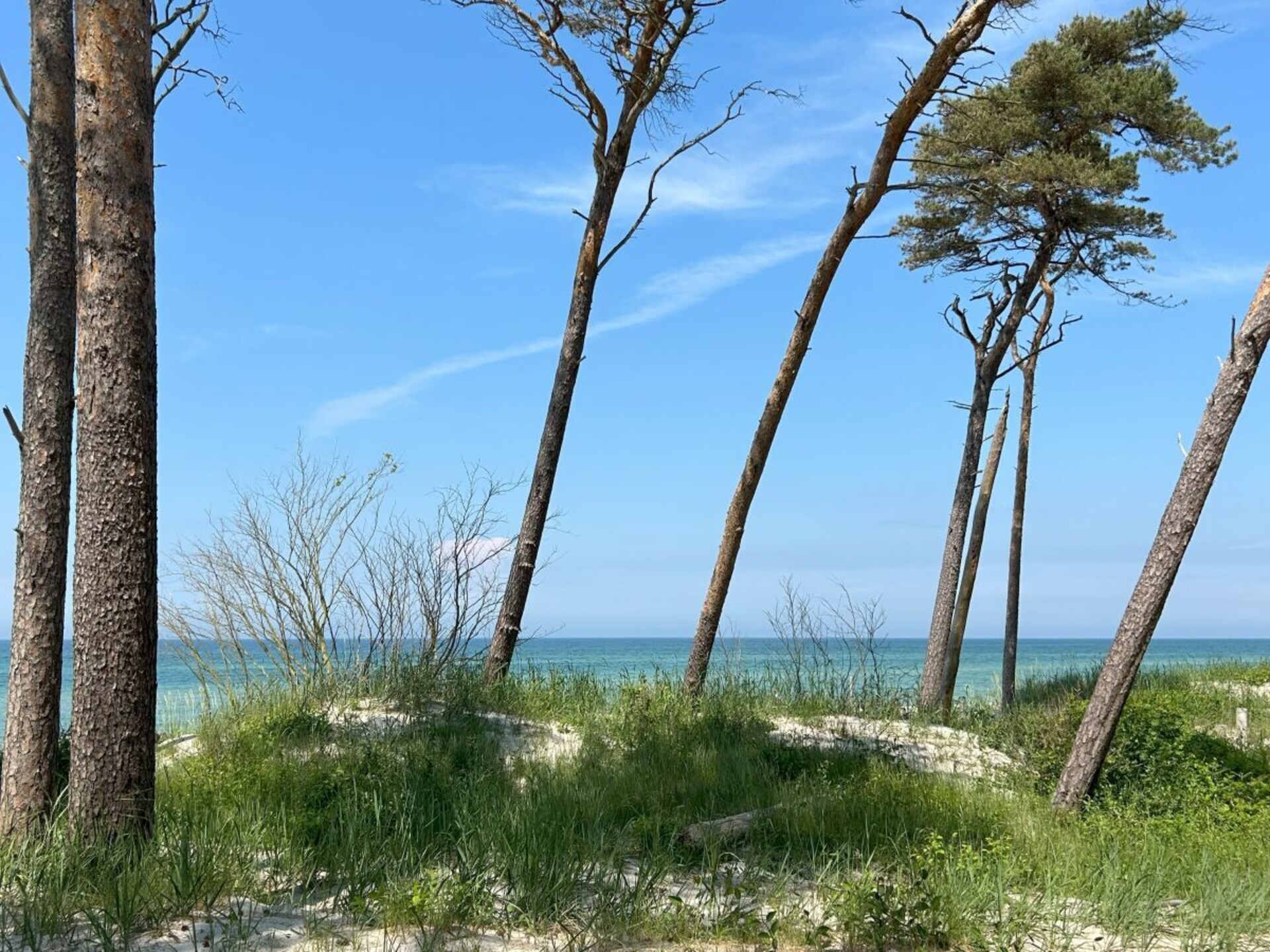 Knus vakantiehuis met privétuin in Zingst, 500m van centrum - foto 24