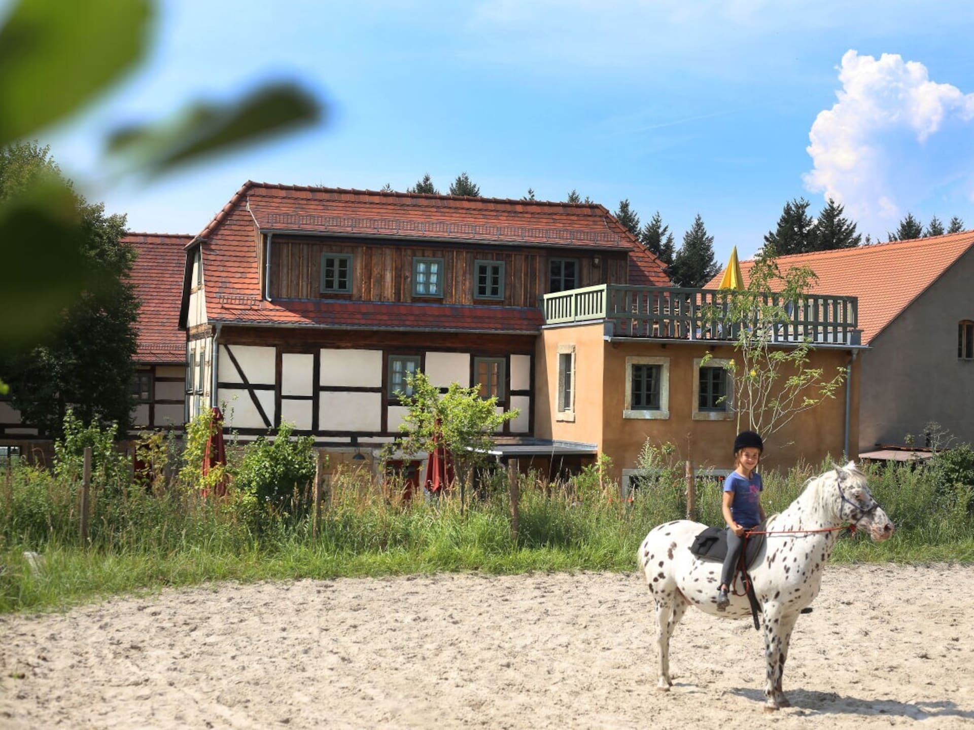 Monumentaal landhuis Lindenhof Graupa bij Pirna met paardenstallen - foto 18