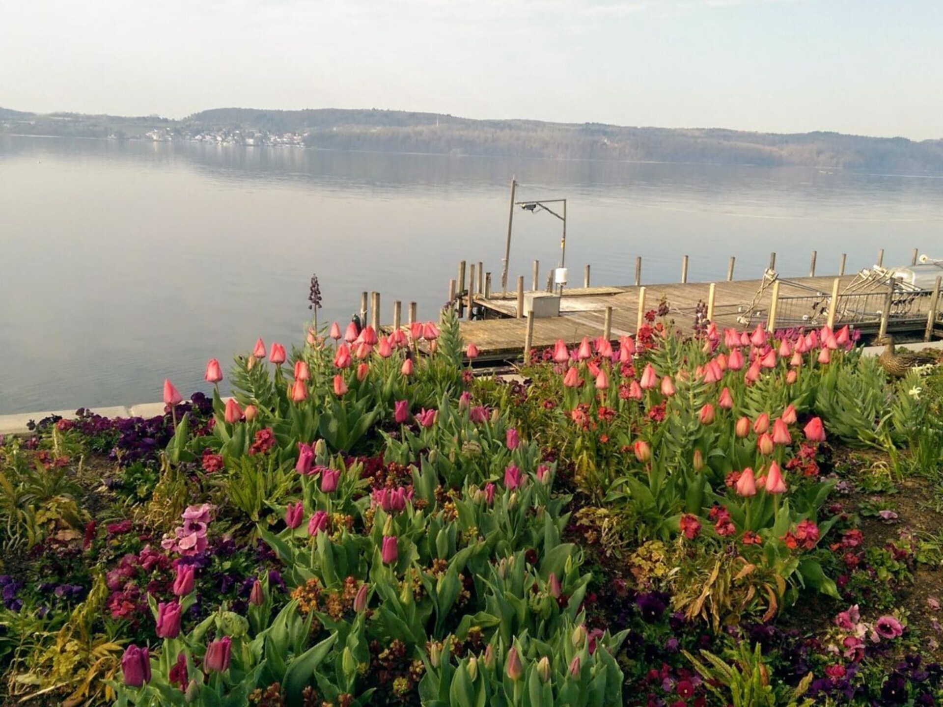 Stijlvol zolderappartement met dakterras vlakbij het Bodenmeer - foto 34