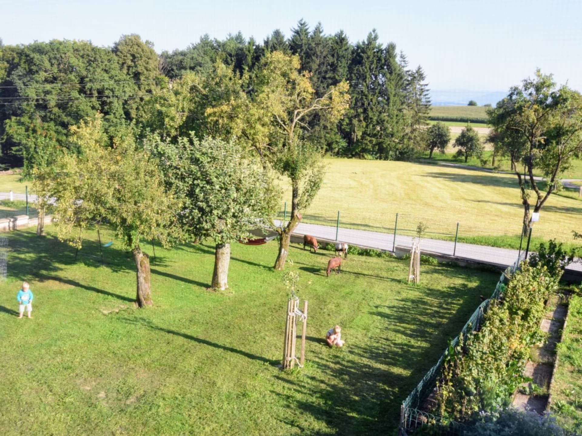 Op 1,0 km van de piste: Ruime boerderij in Sankt Martin am Ybbsfelde - foto 8