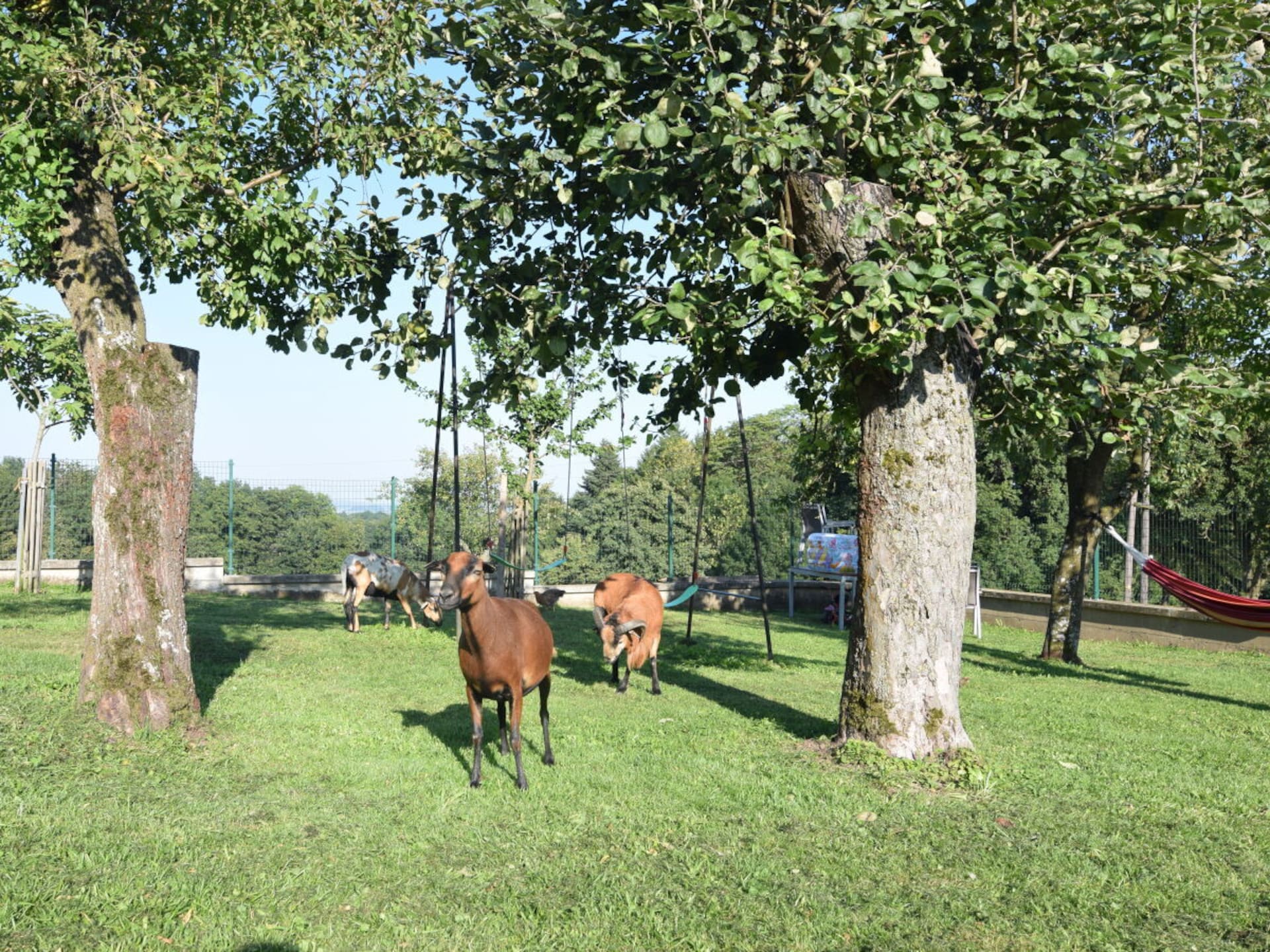 Op 1,0 km van de piste: Ruime boerderij in Sankt Martin am Ybbsfelde - foto 21