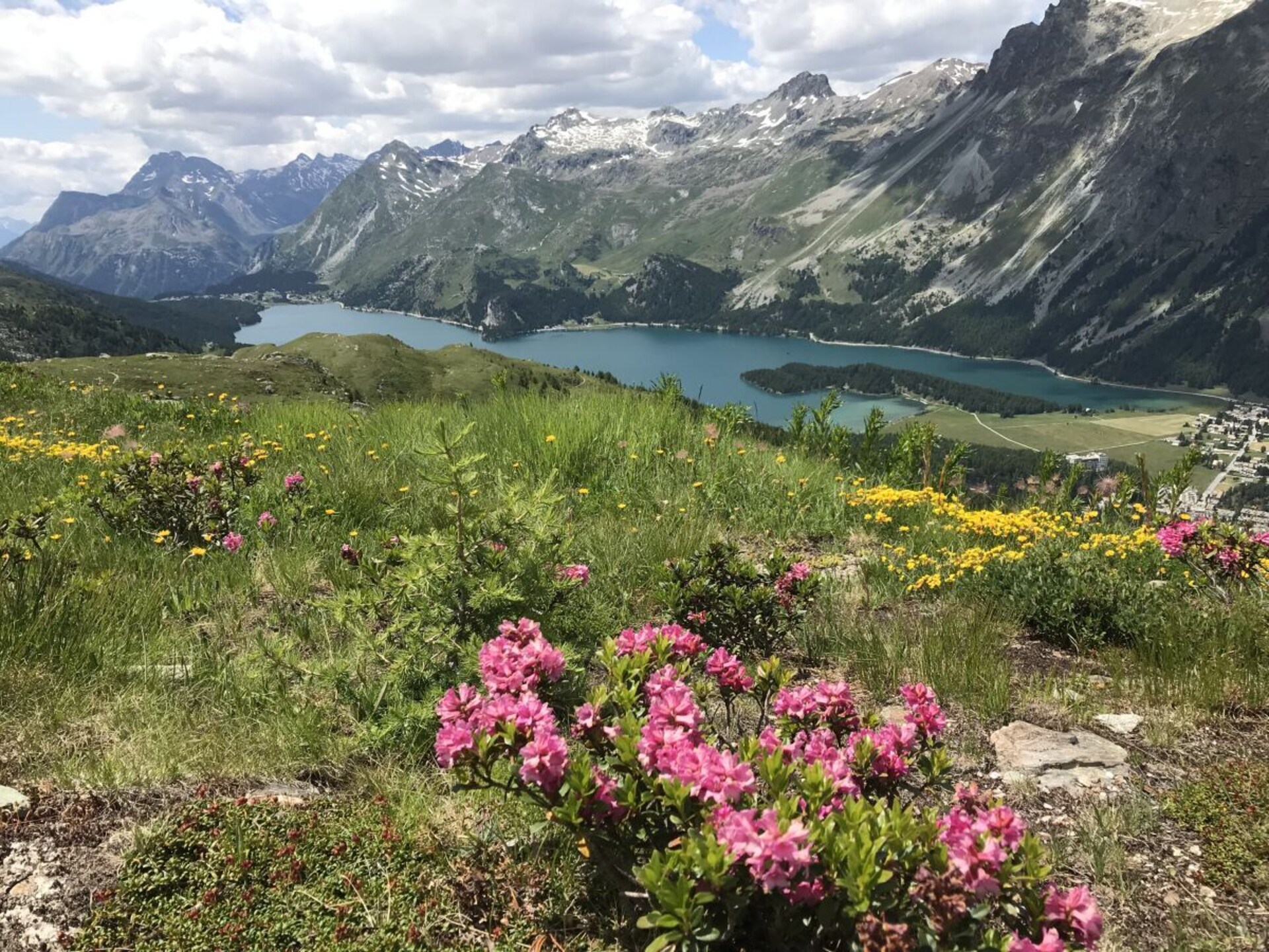 Chalet Isola in Maloja: 110m² rust met uitzicht op de Zwitserse bergen - foto 15