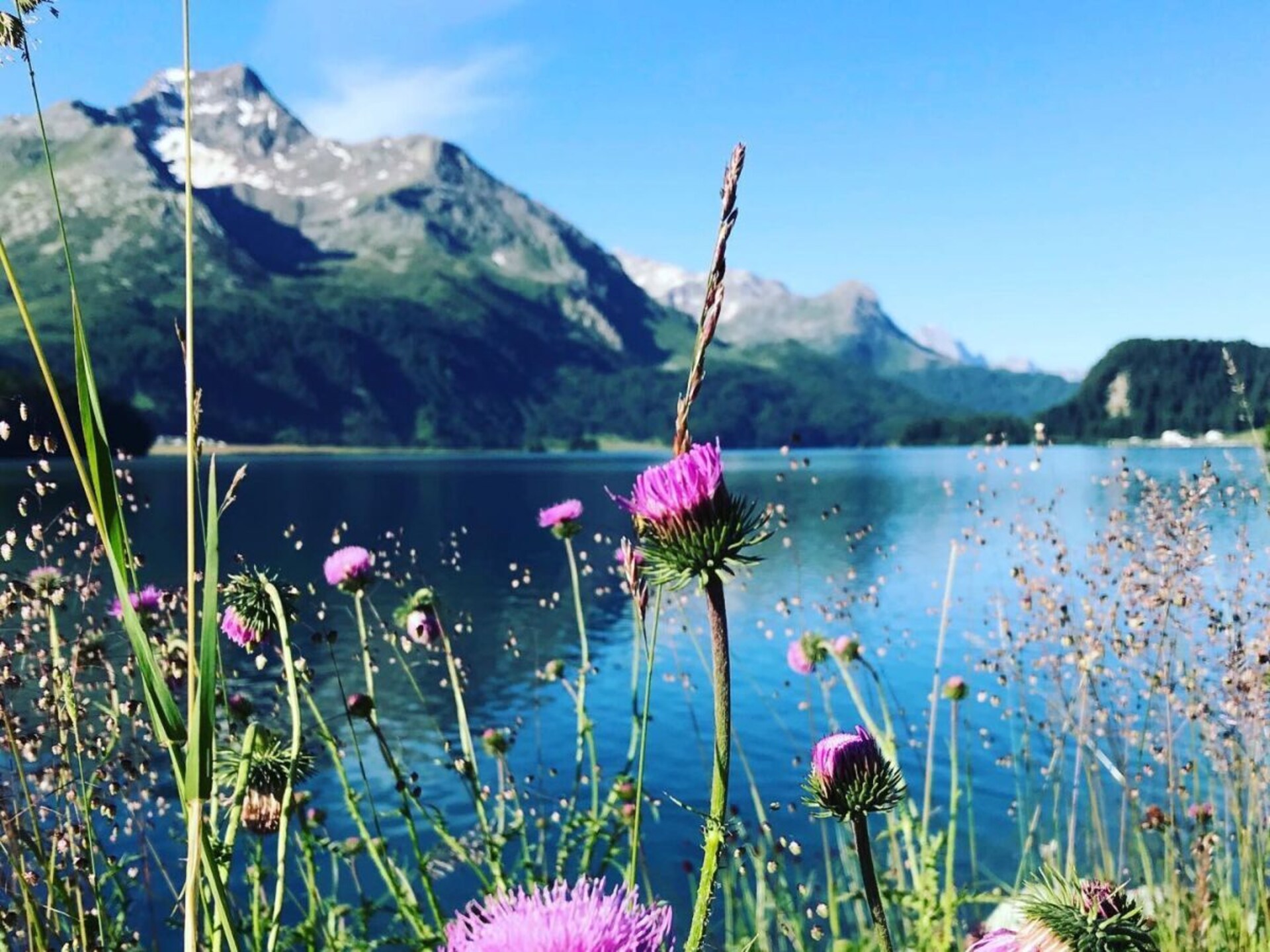 Chalet Isola in Maloja: 110m² rust met uitzicht op de Zwitserse bergen - foto 16